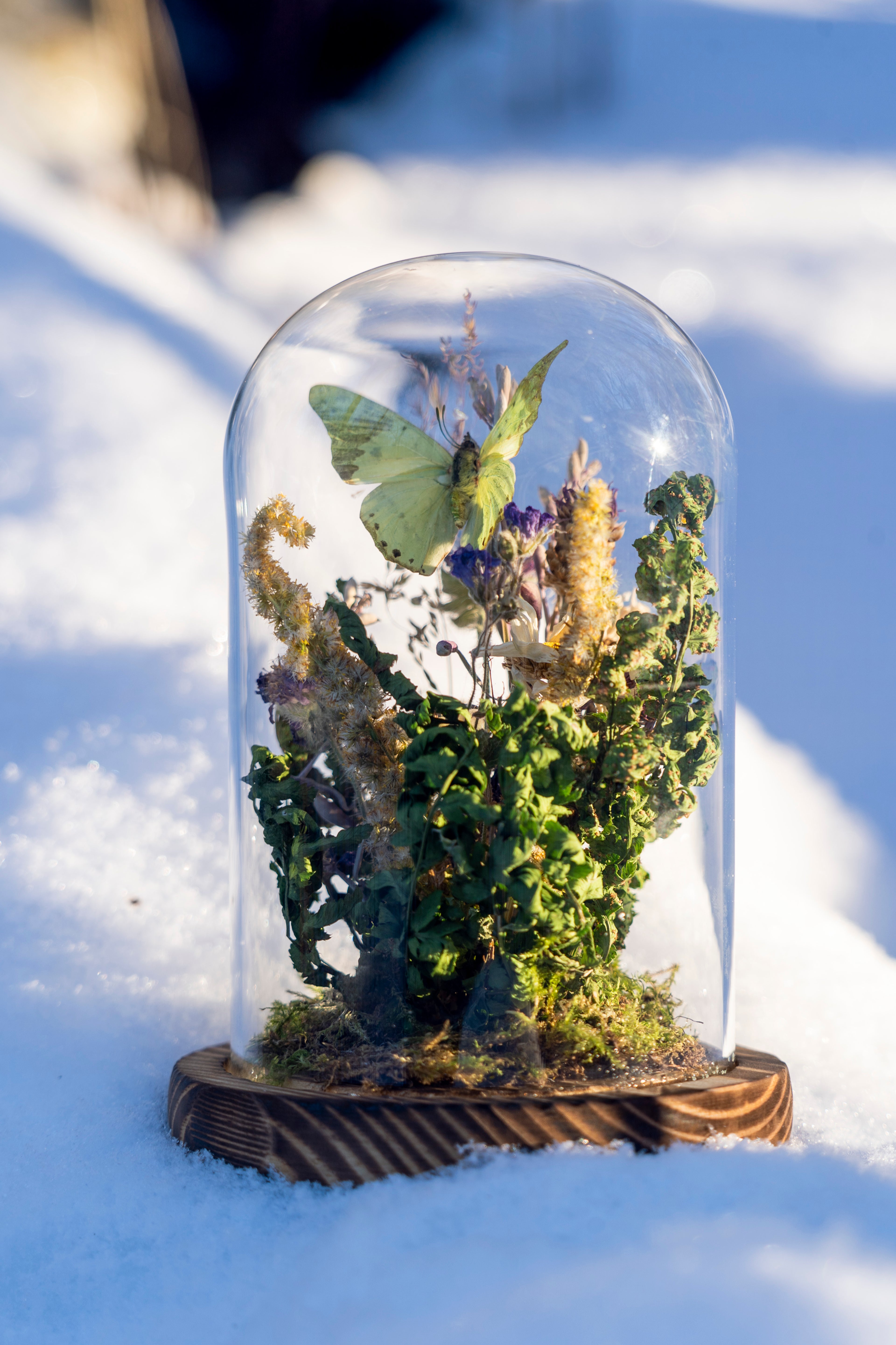 Mini World: Late Summer