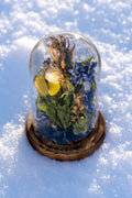 Mini World: Warmth