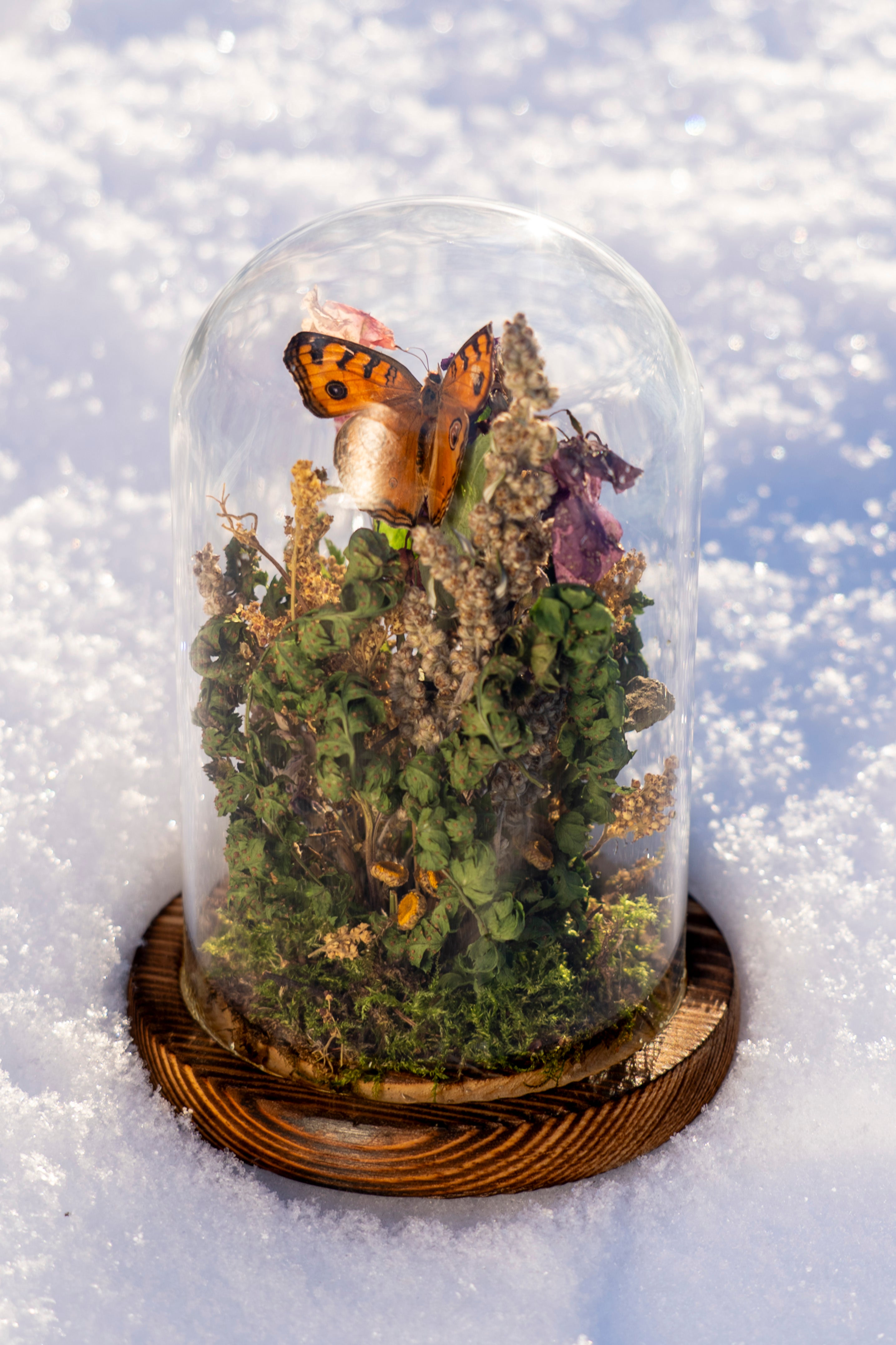 Mini World: Golden Hour