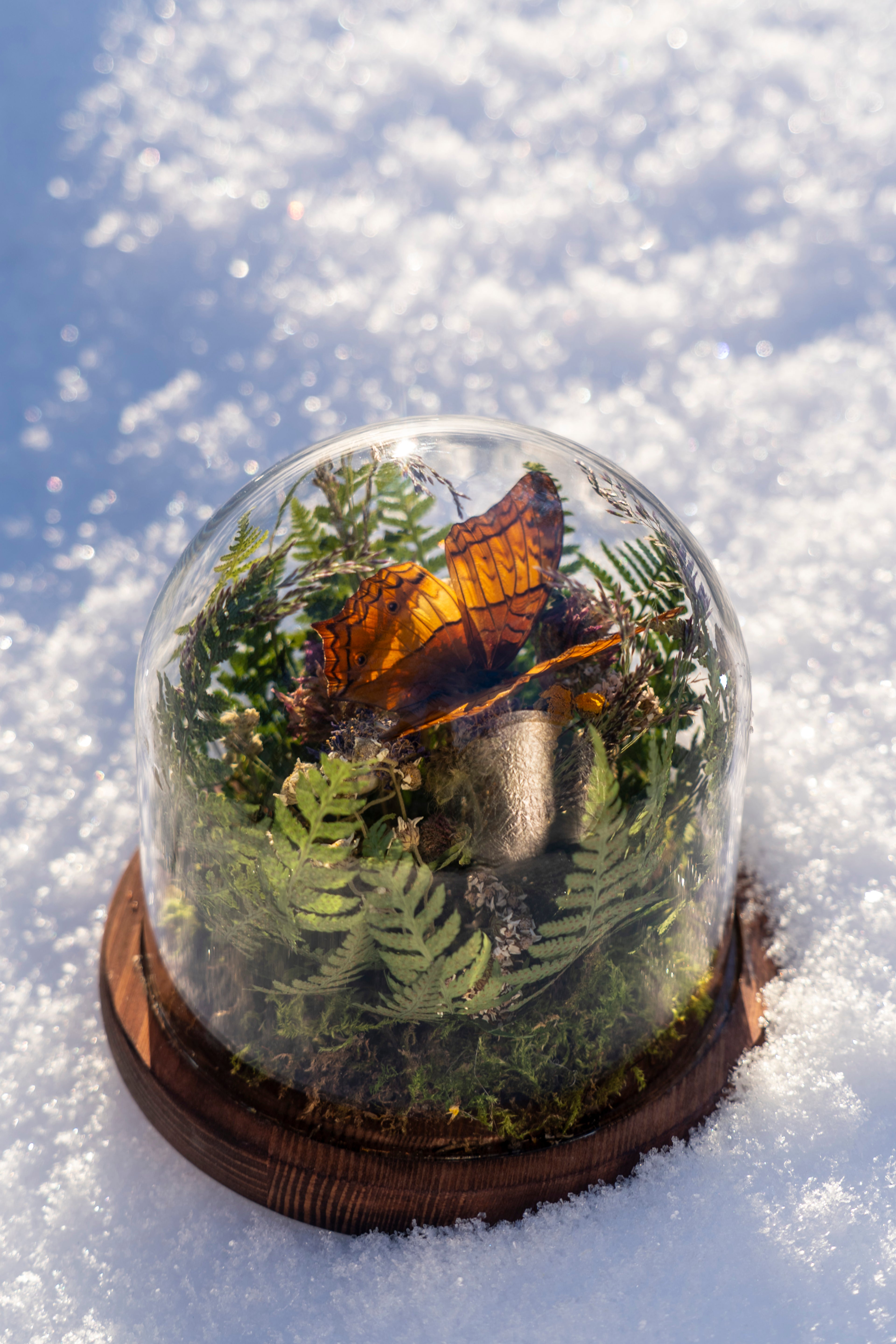 Mini World: Summer Fern