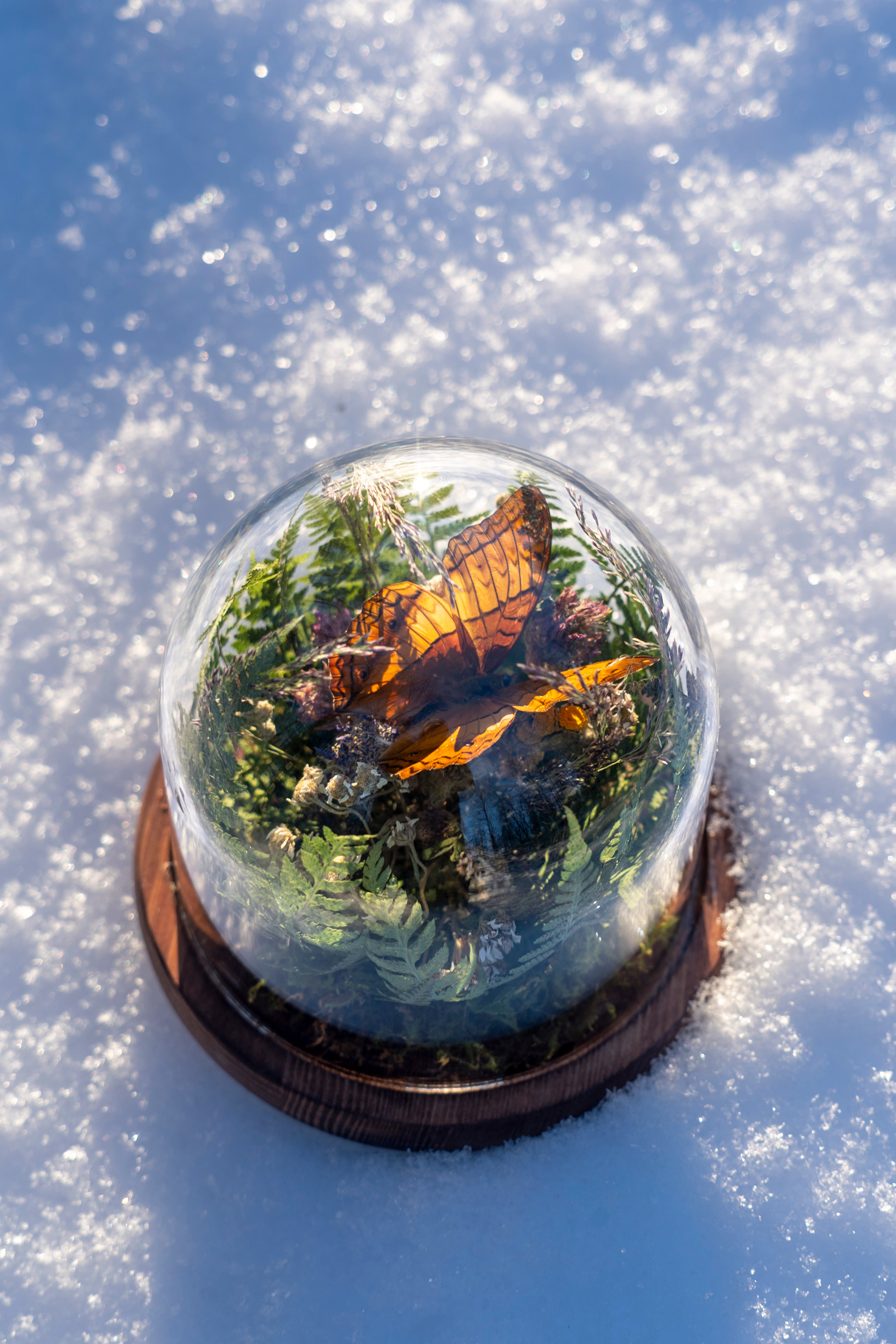 Mini World: Summer Fern