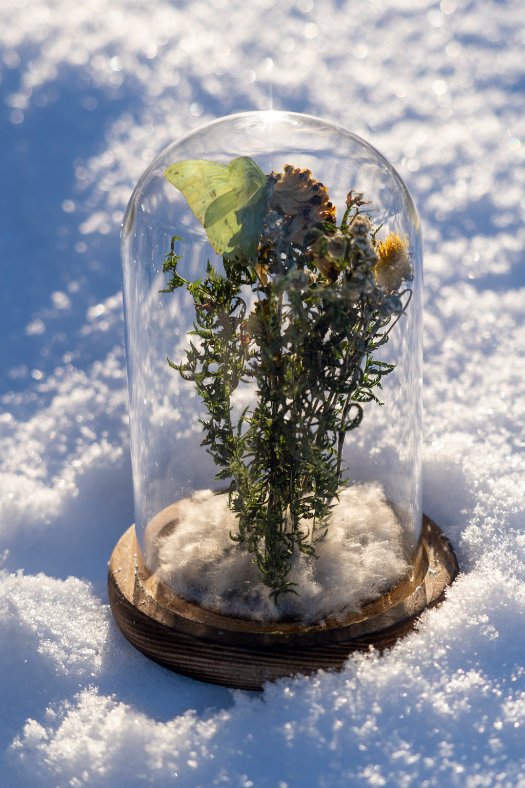 Mini World: Soft Wings