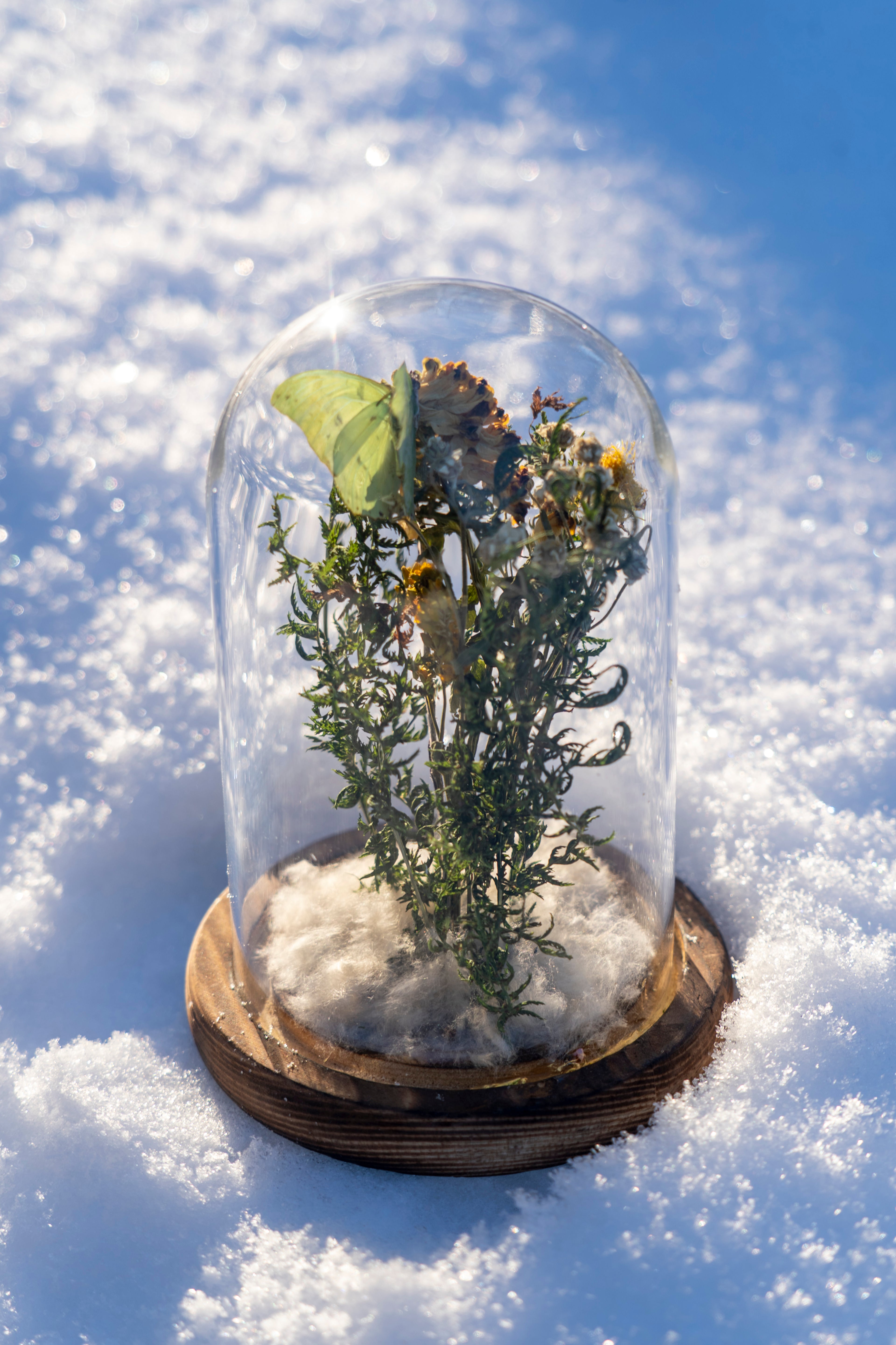 Mini World: Soft Wings