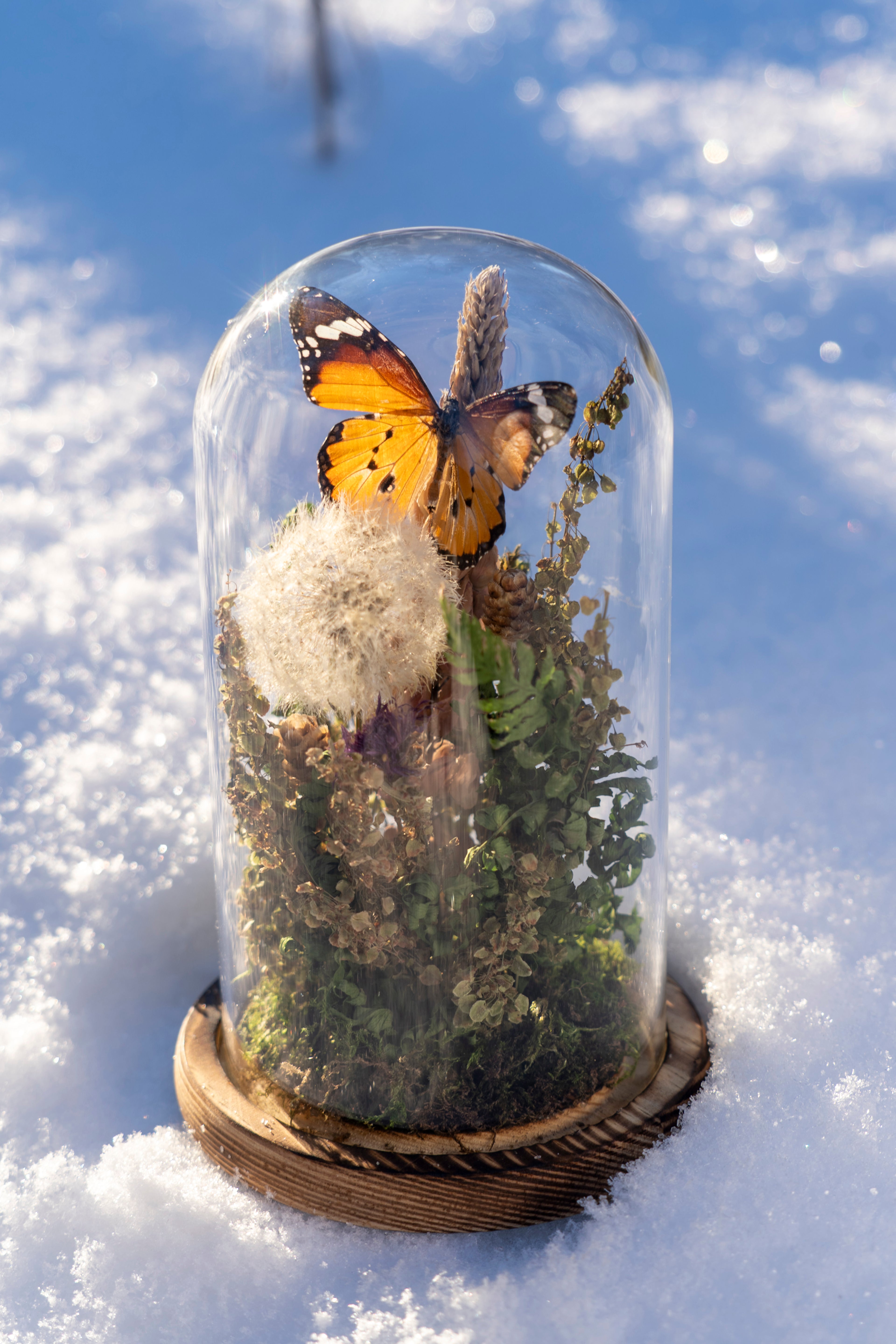 Mini World: Summer Meadow