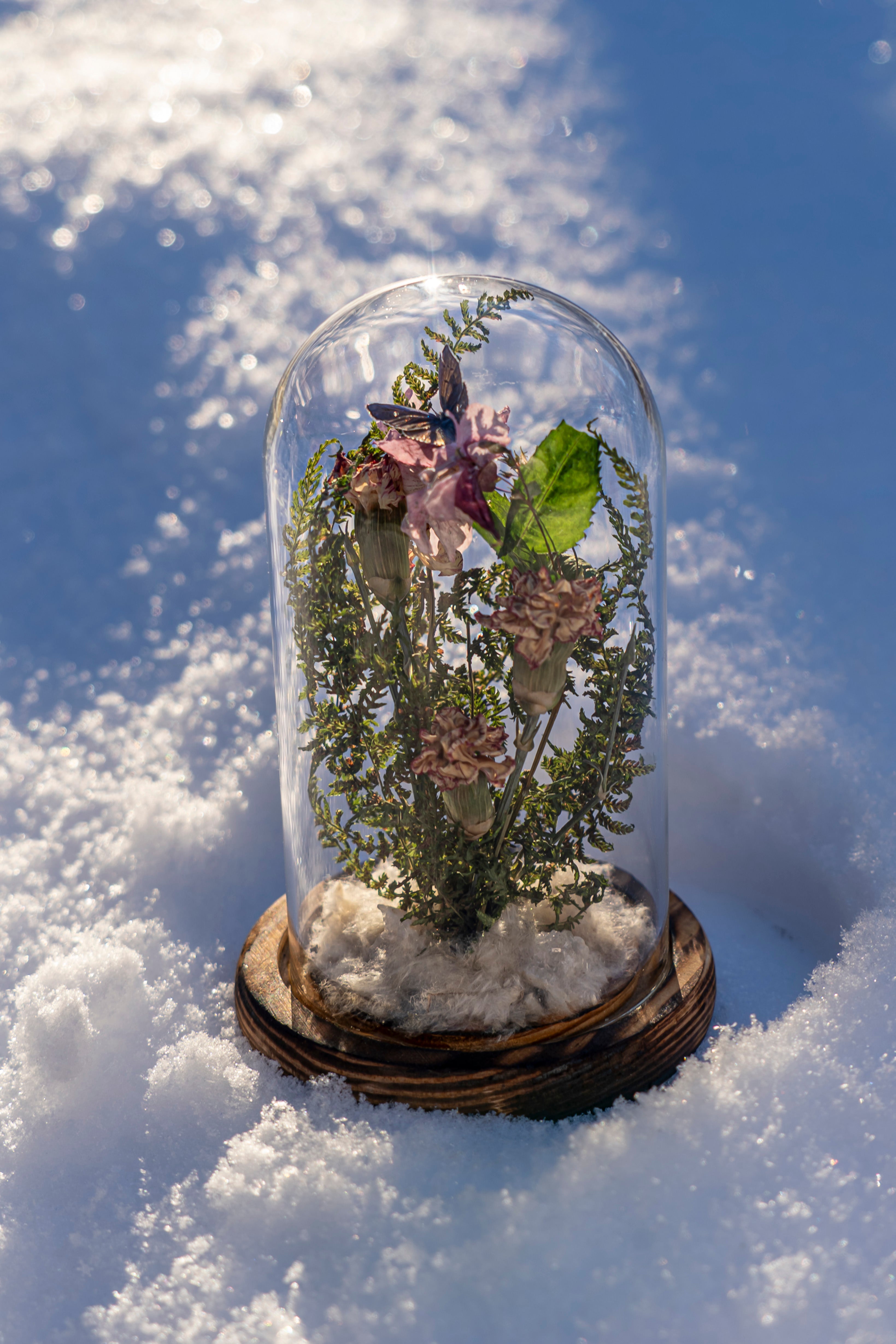 Mini World: Leaf & Light