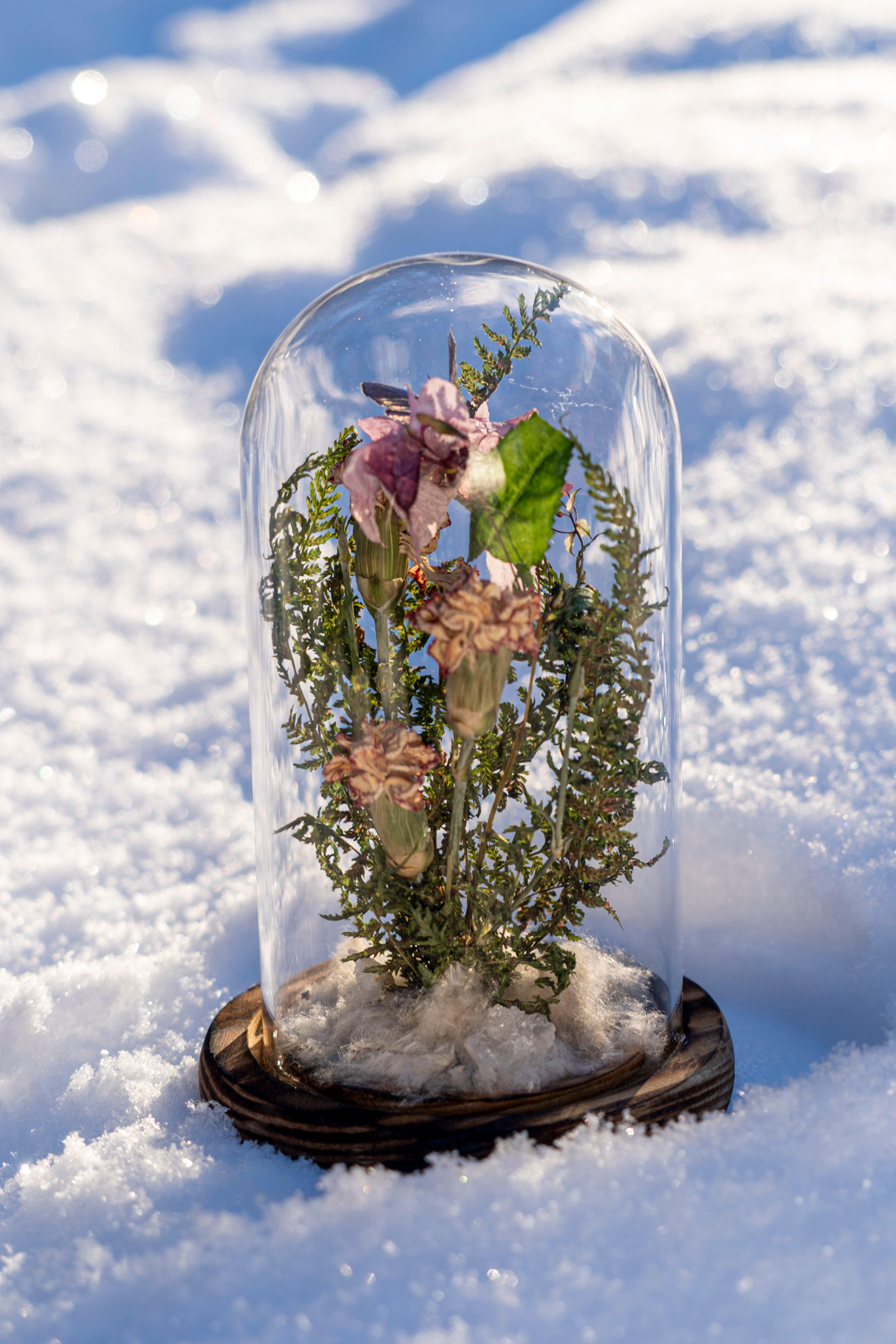 Mini World: Leaf & Light