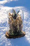 Mini World: Golden Wildflowers