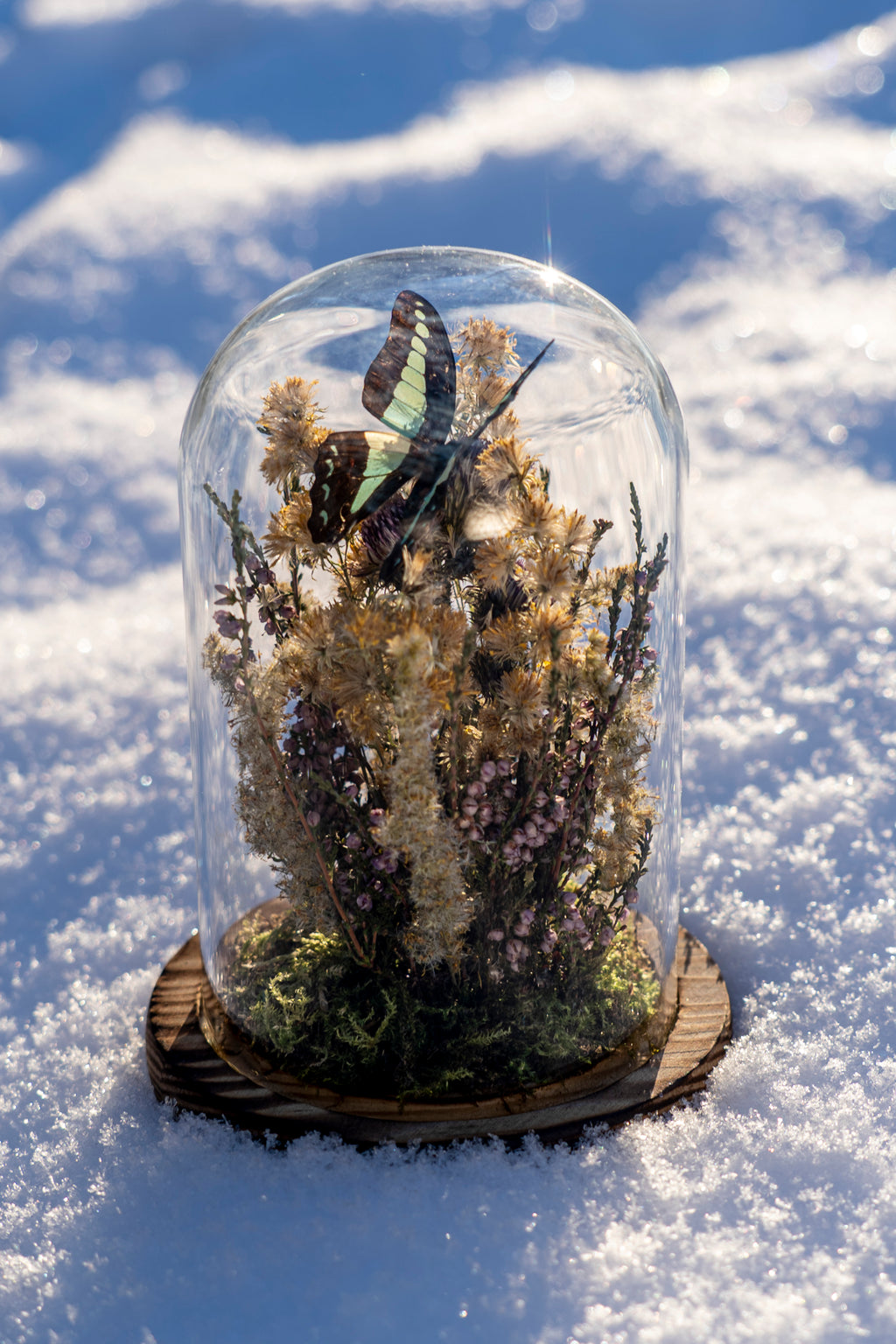 Mini World: Golden Wildflowers