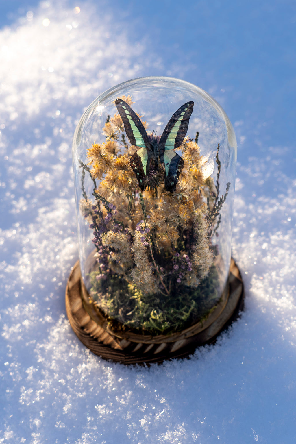 Mini World: Golden Wildflowers