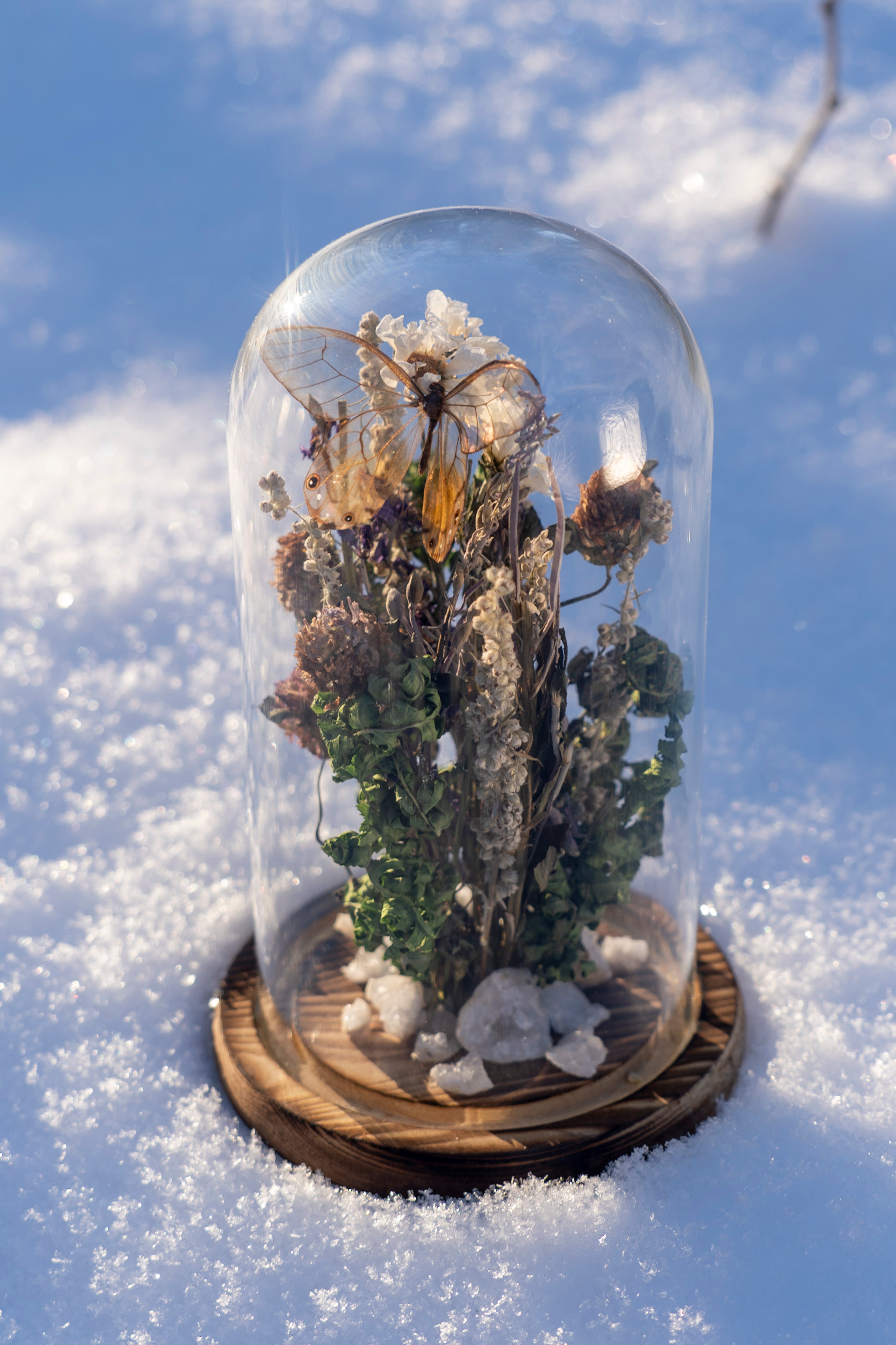 Mini World: Glass Garden