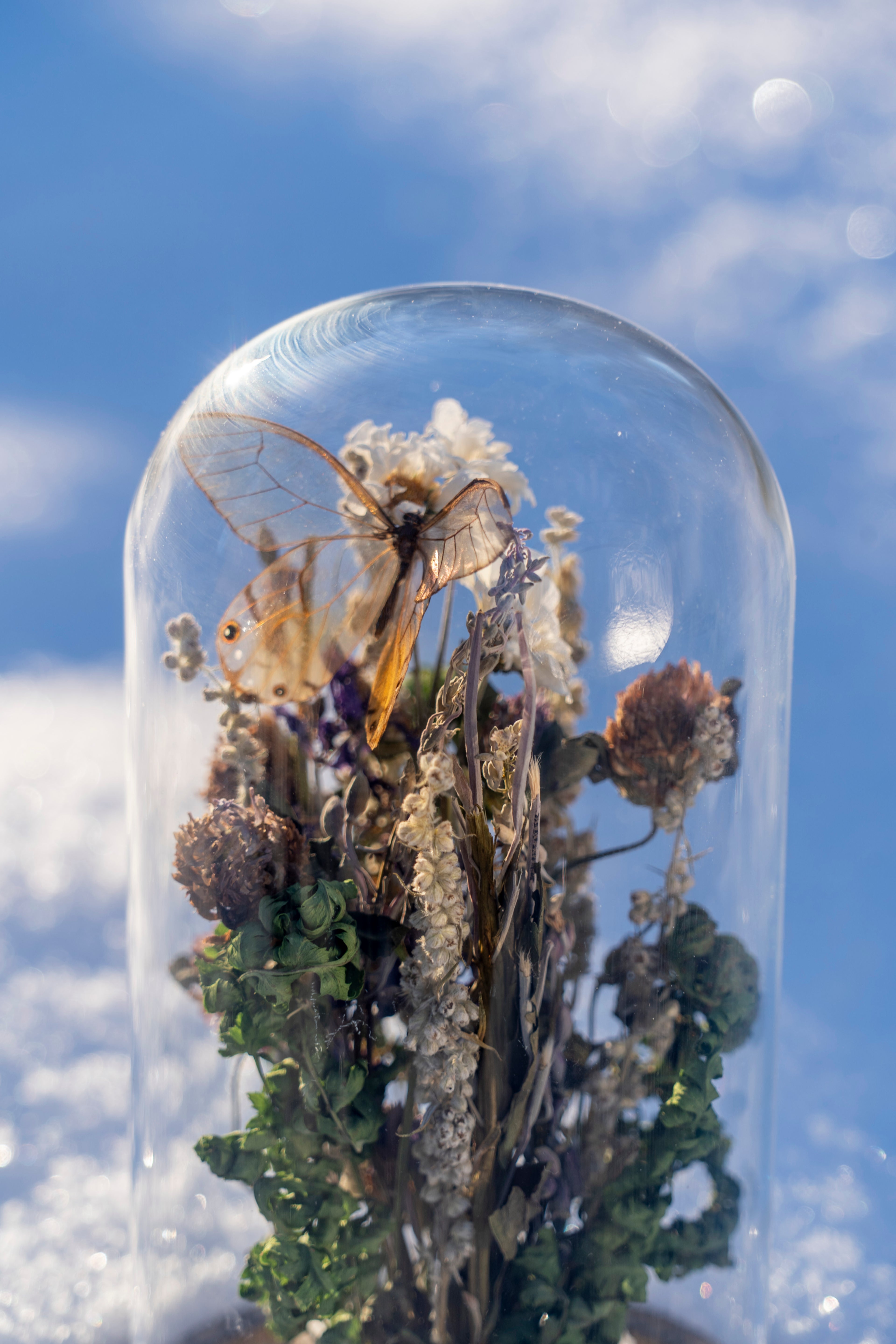 Mini World: Glass Garden