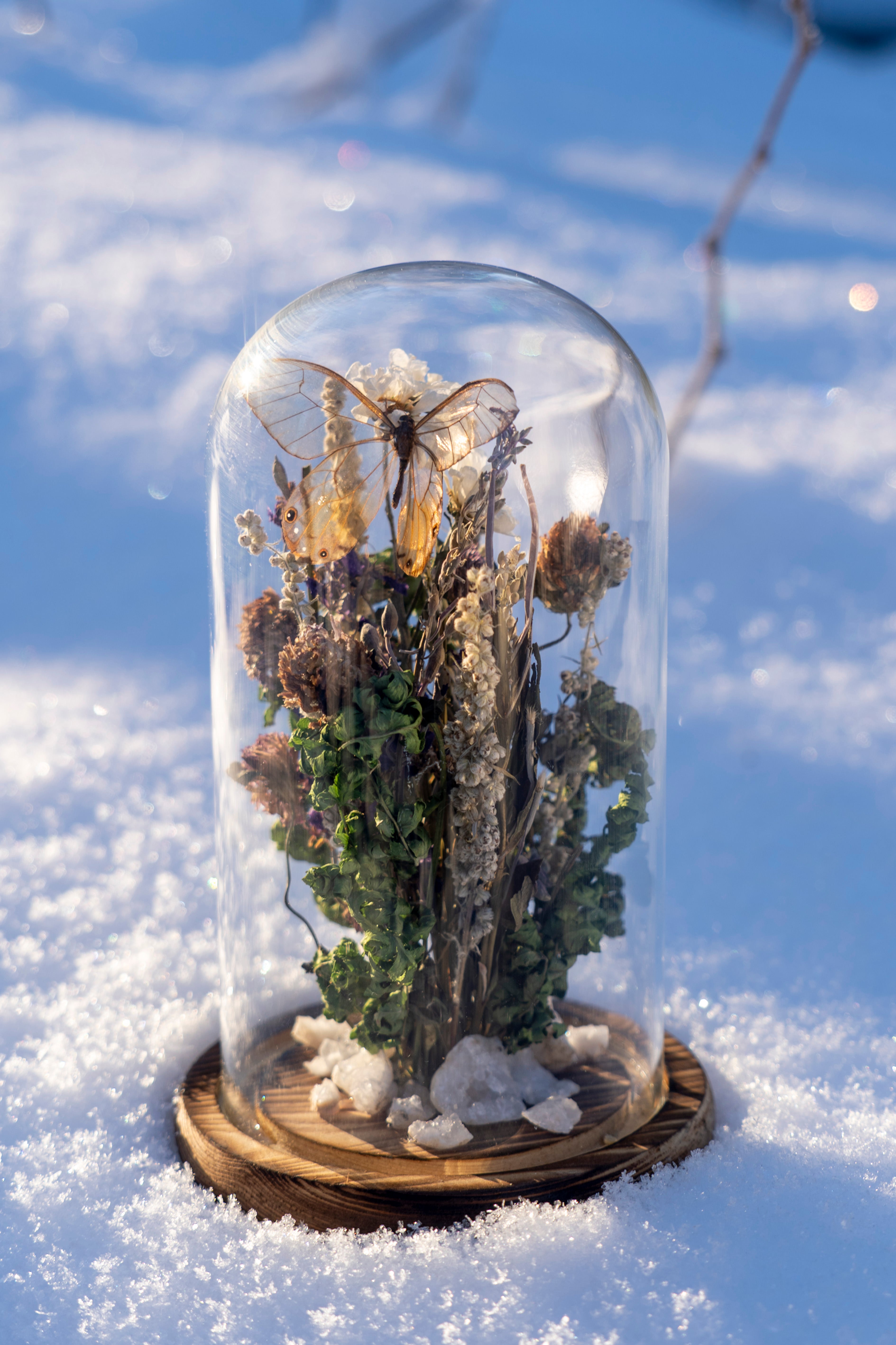 Mini World: Glass Garden