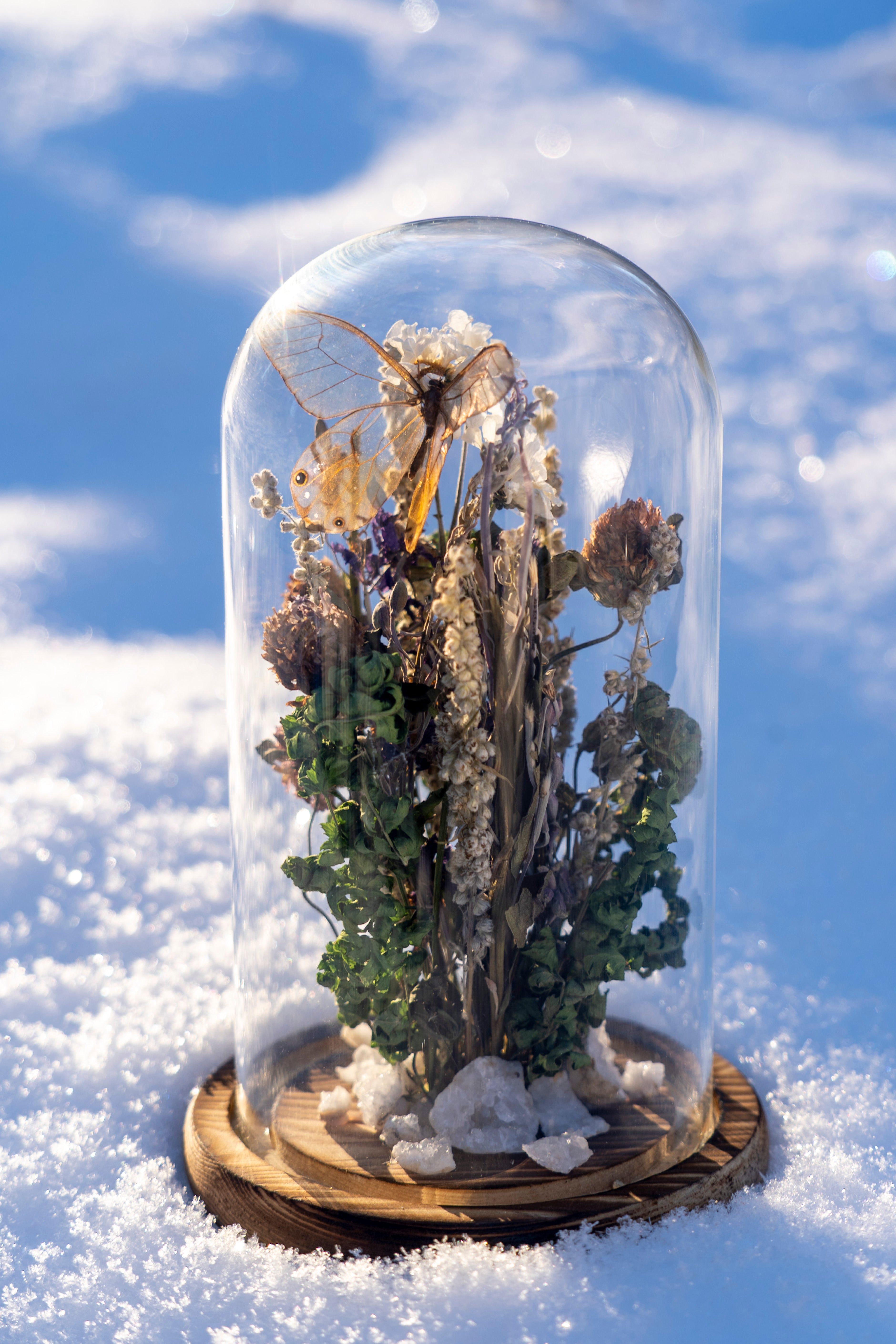 Mini World: Glass Garden