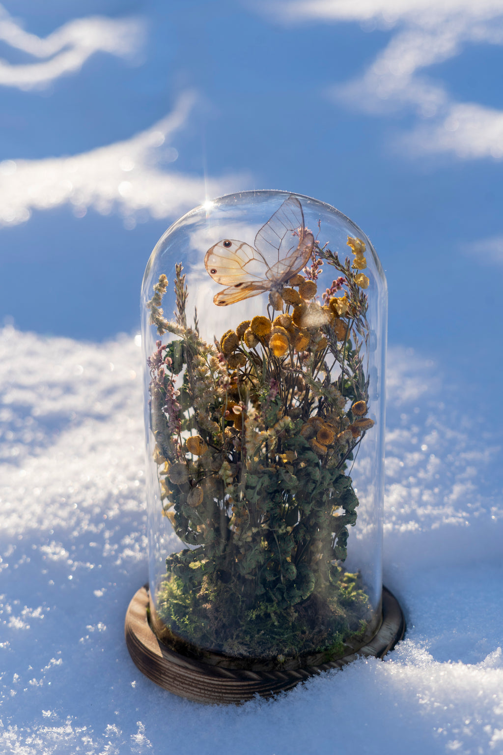 Mini World: Quiet Growth