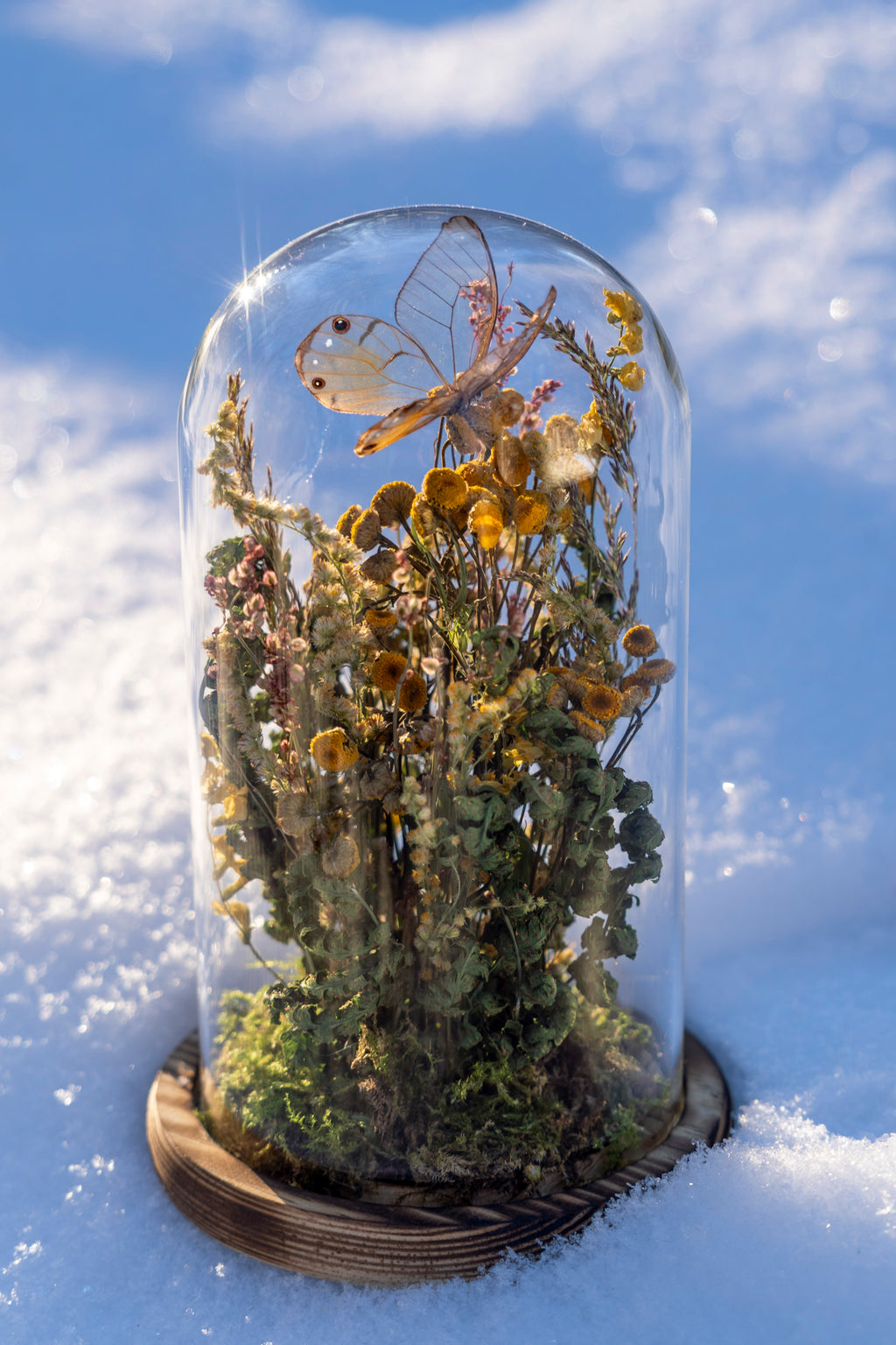 Mini World: Quiet Growth