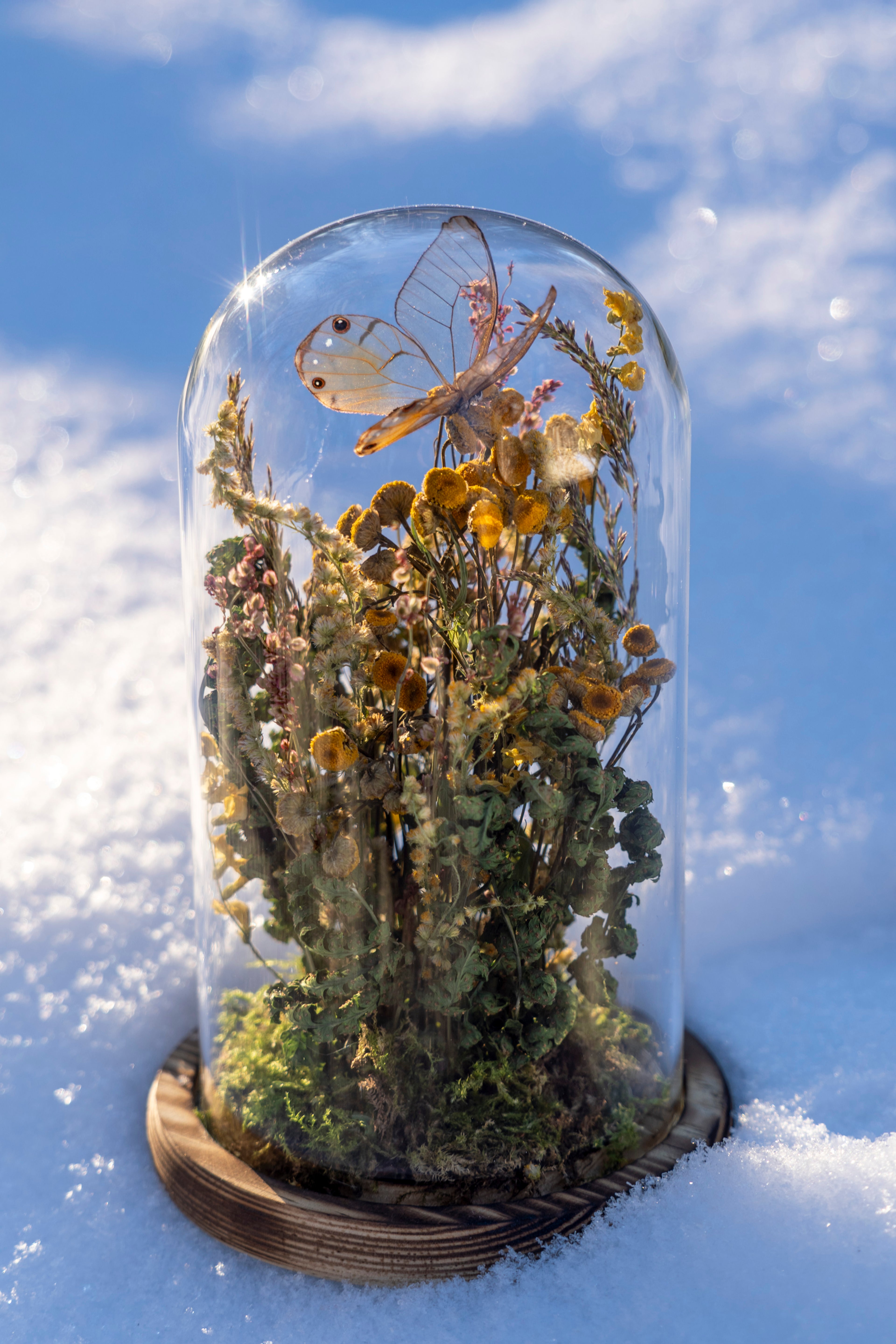 Mini World: Quiet Growth