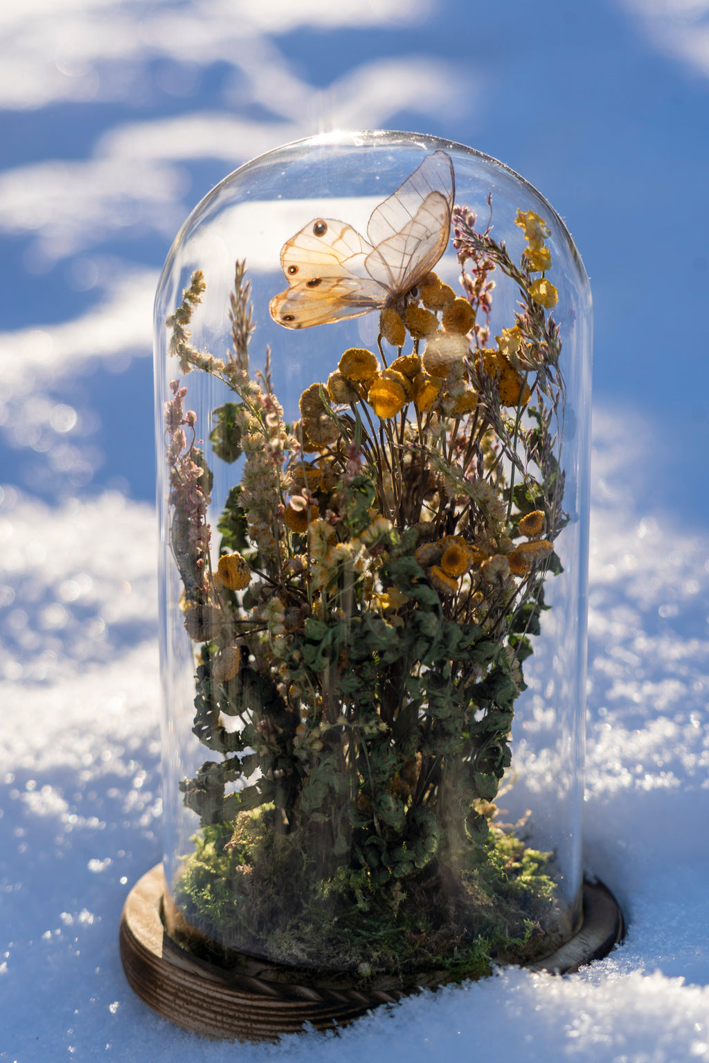 Mini World: Quiet Growth