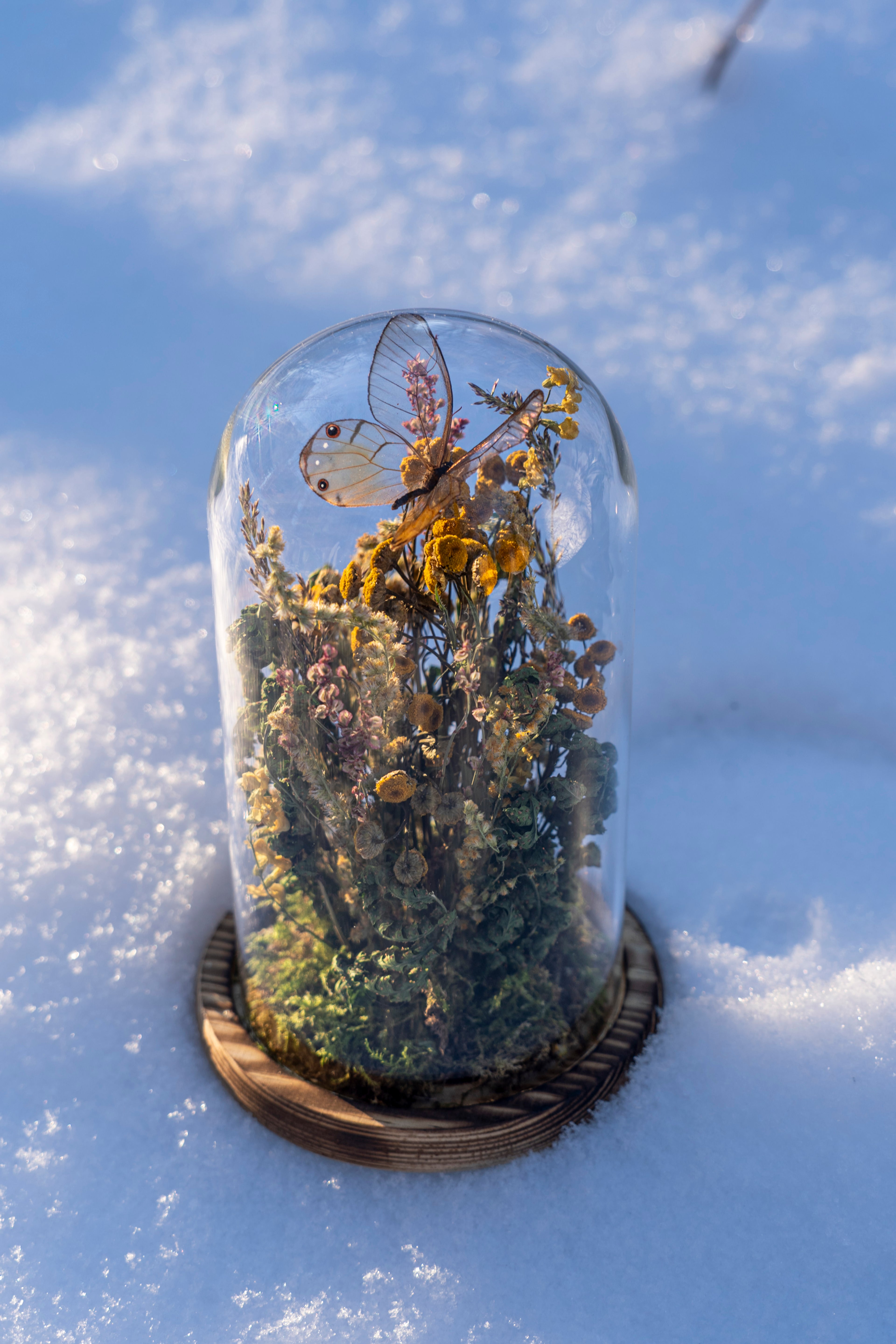 Mini World: Quiet Growth