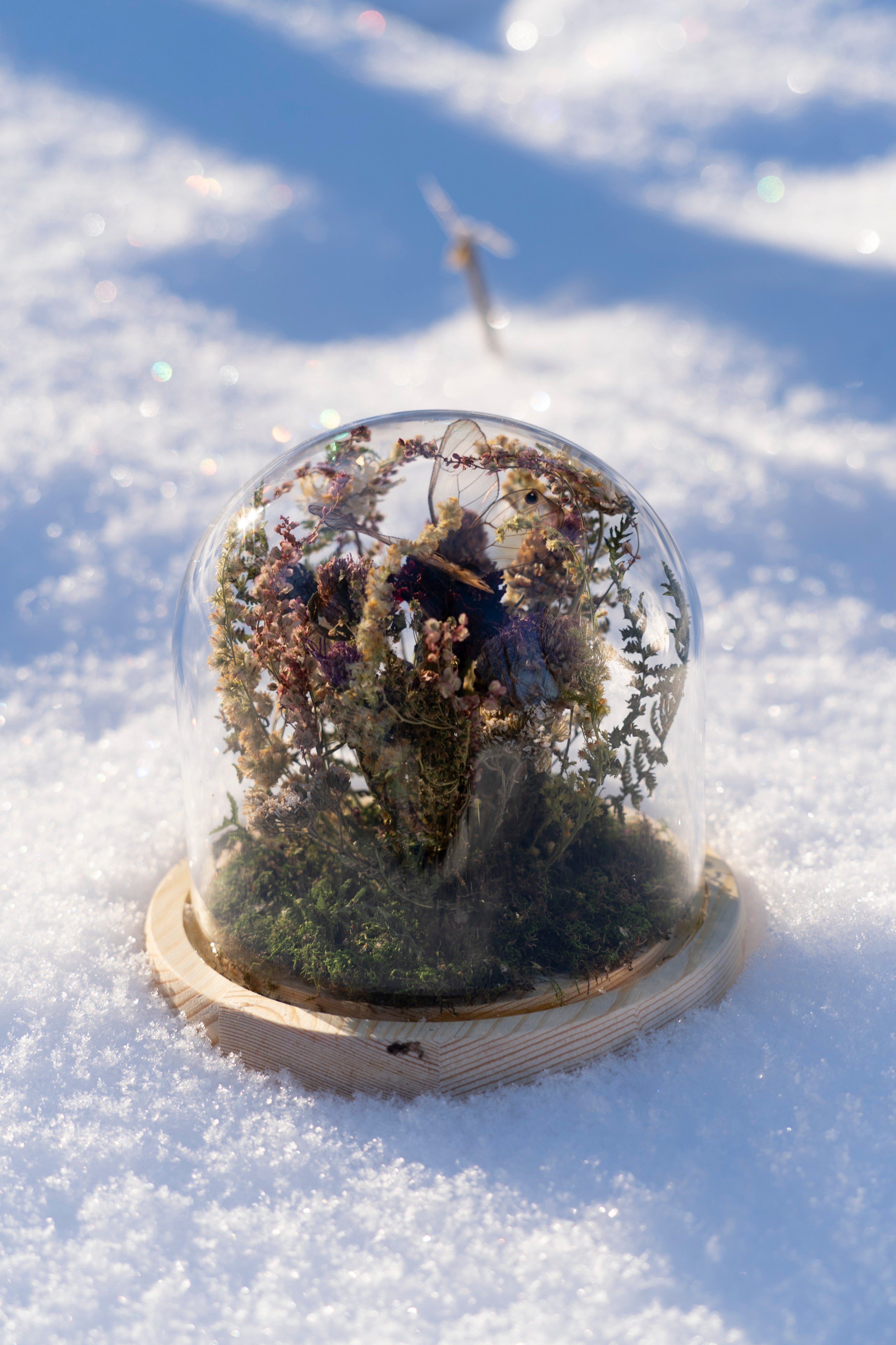 Mini World: Wild Grass