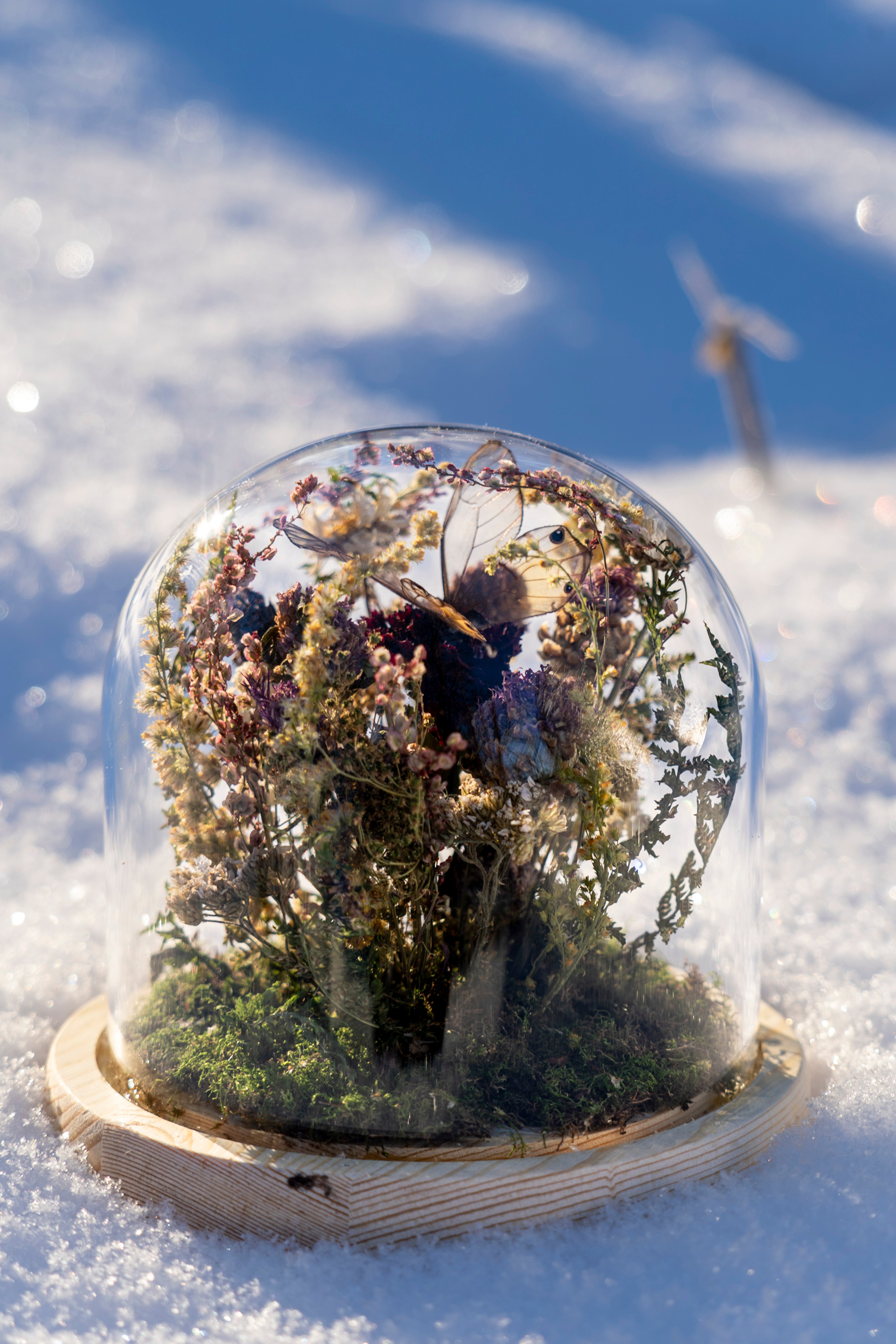 Mini World: Wild Grass