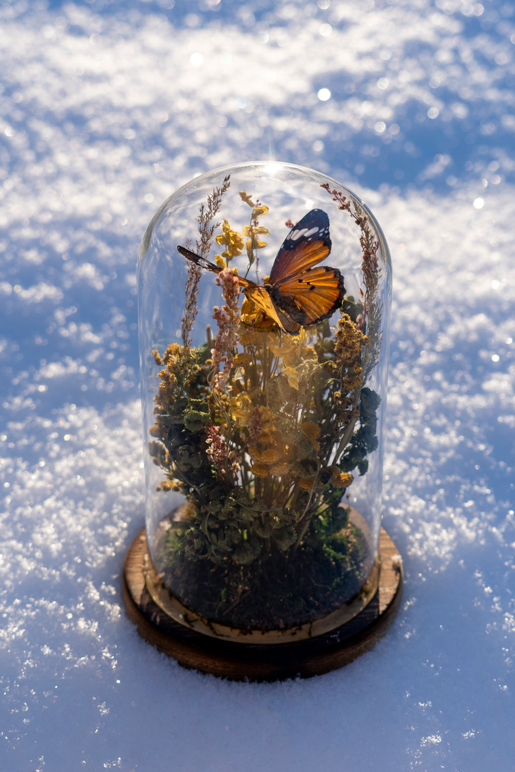 Mini World: Summer