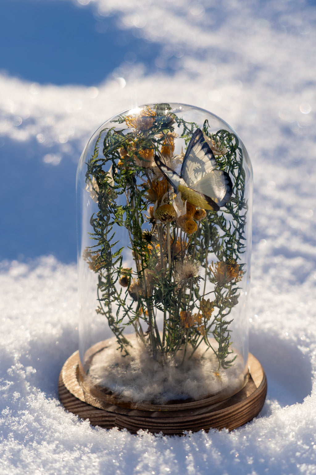 Mini World: Green Canopy