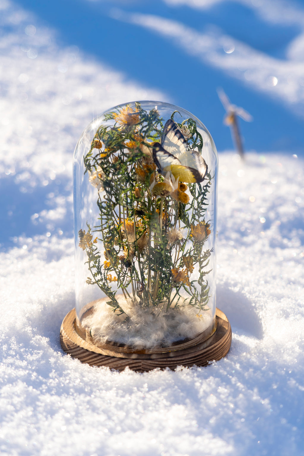 Mini World: Green Canopy