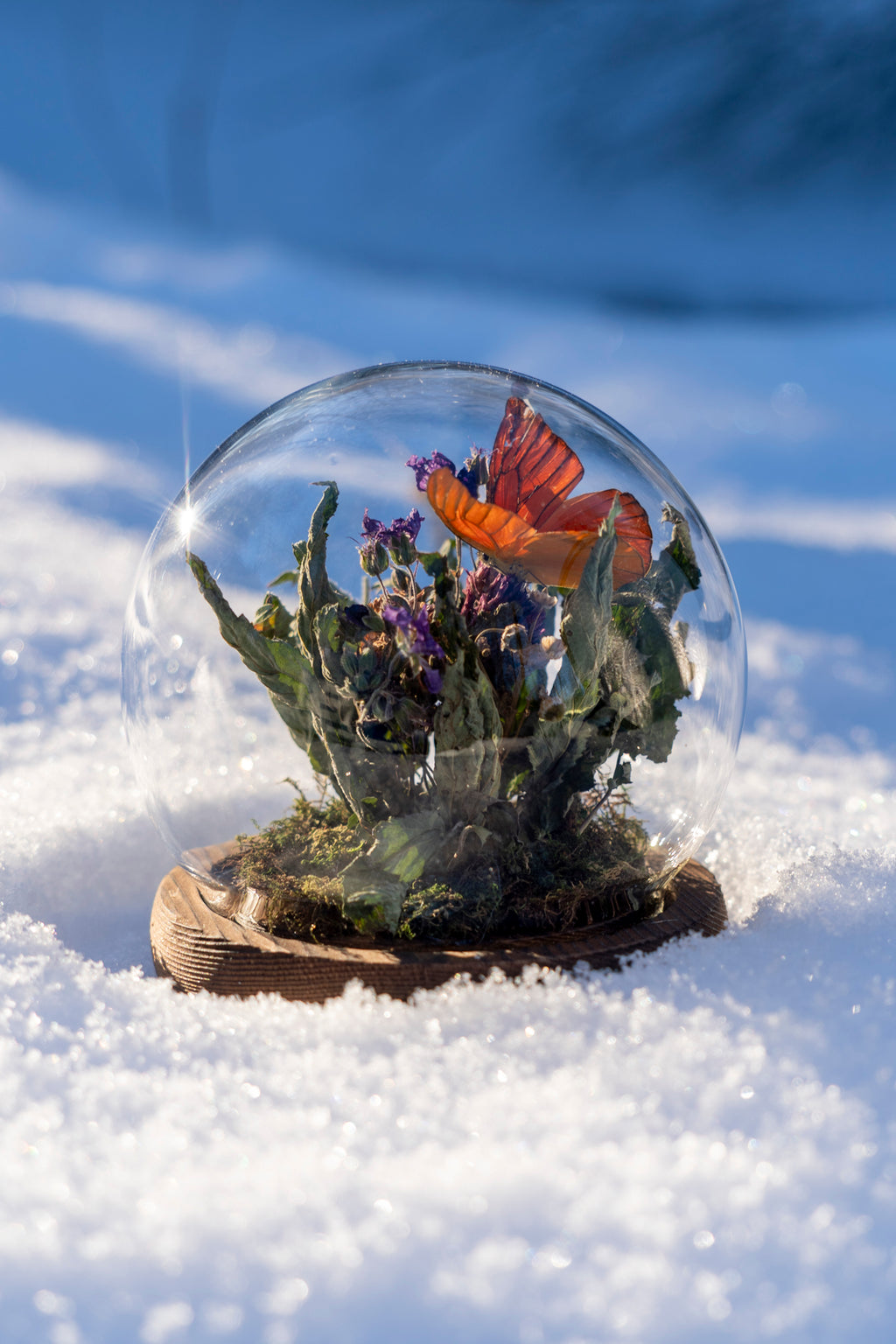 Minivärld: Sommarbris