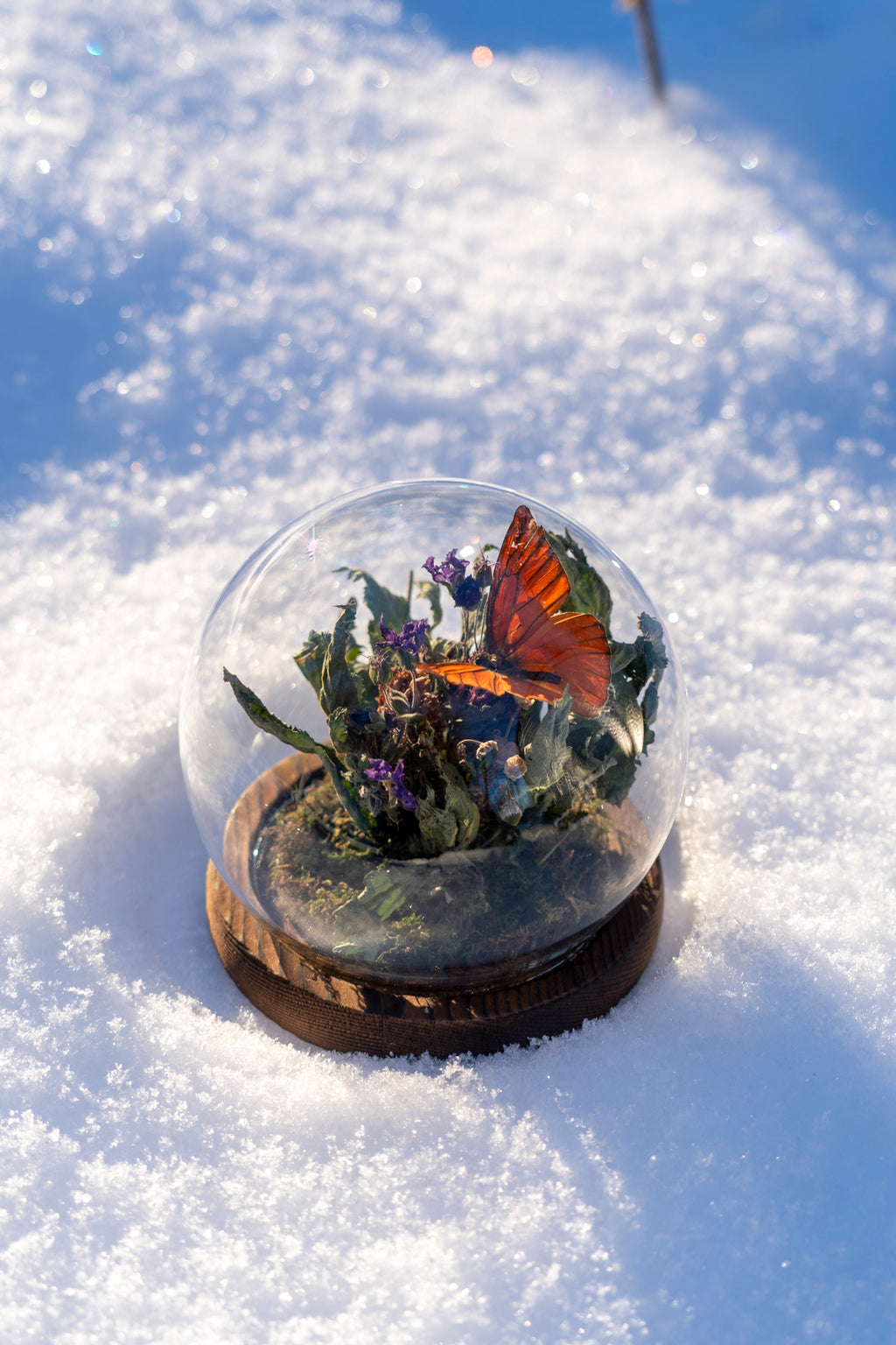 Minivärld: Sommarbris