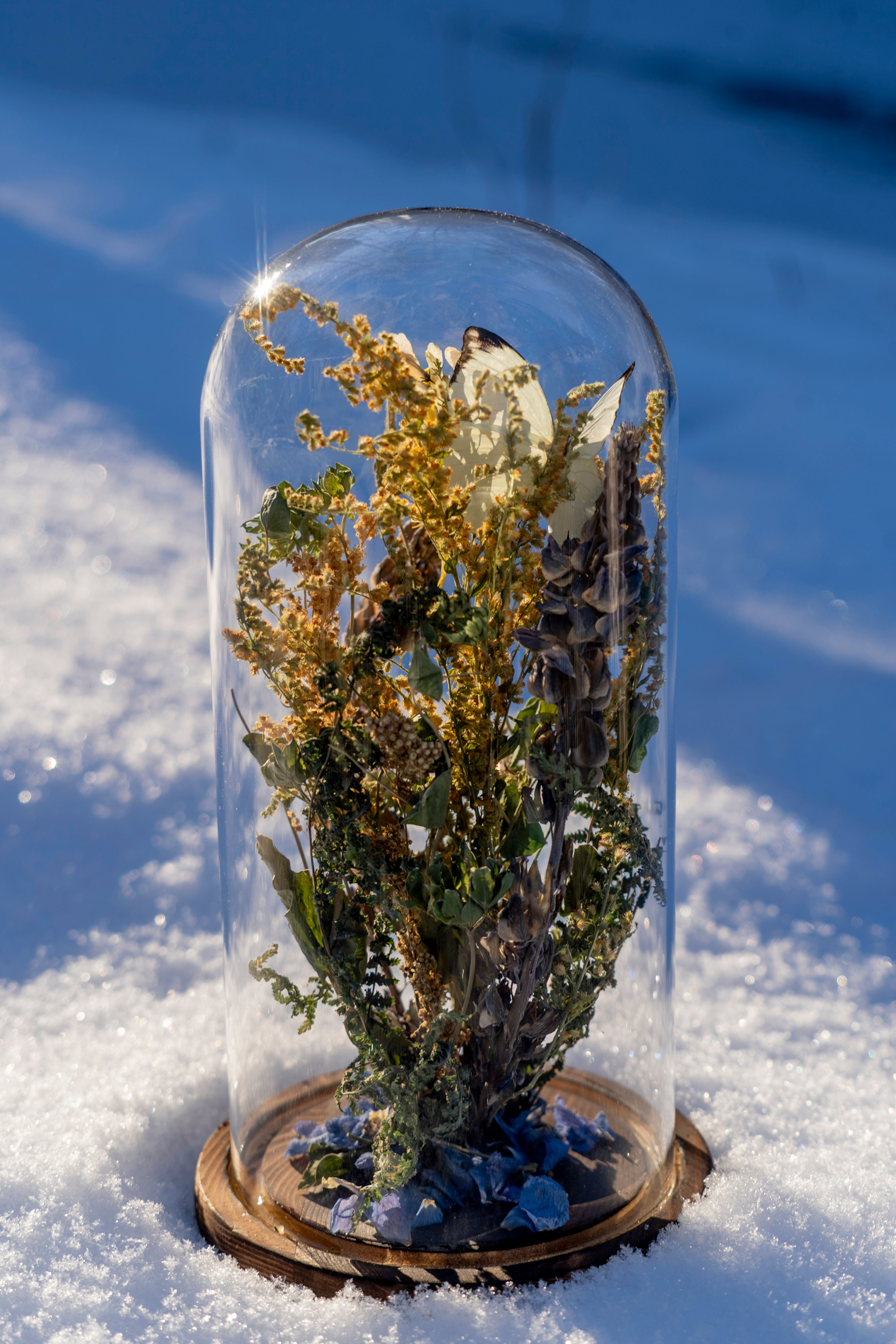 Mini World: Summer Fields