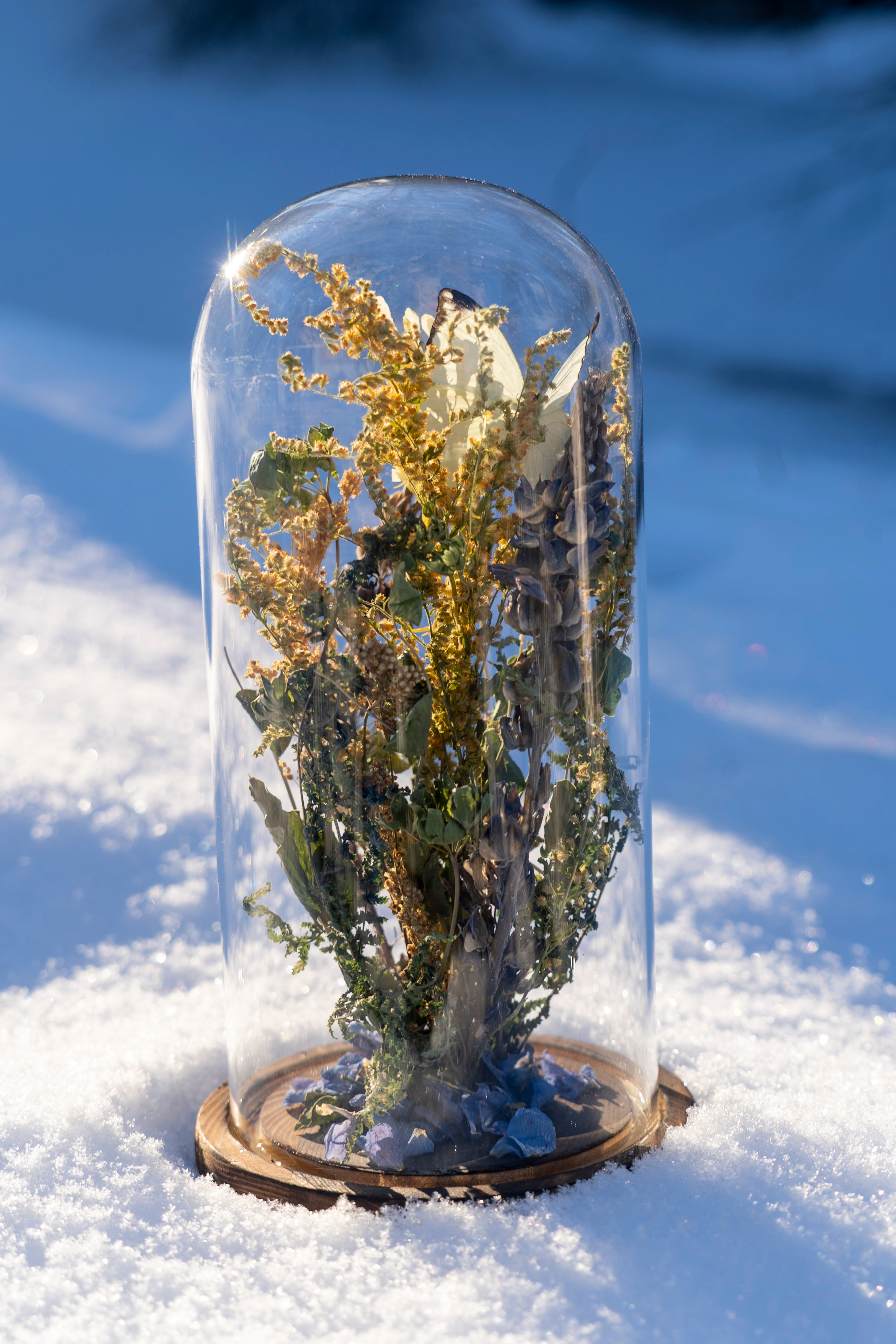 Mini World: Summer Fields