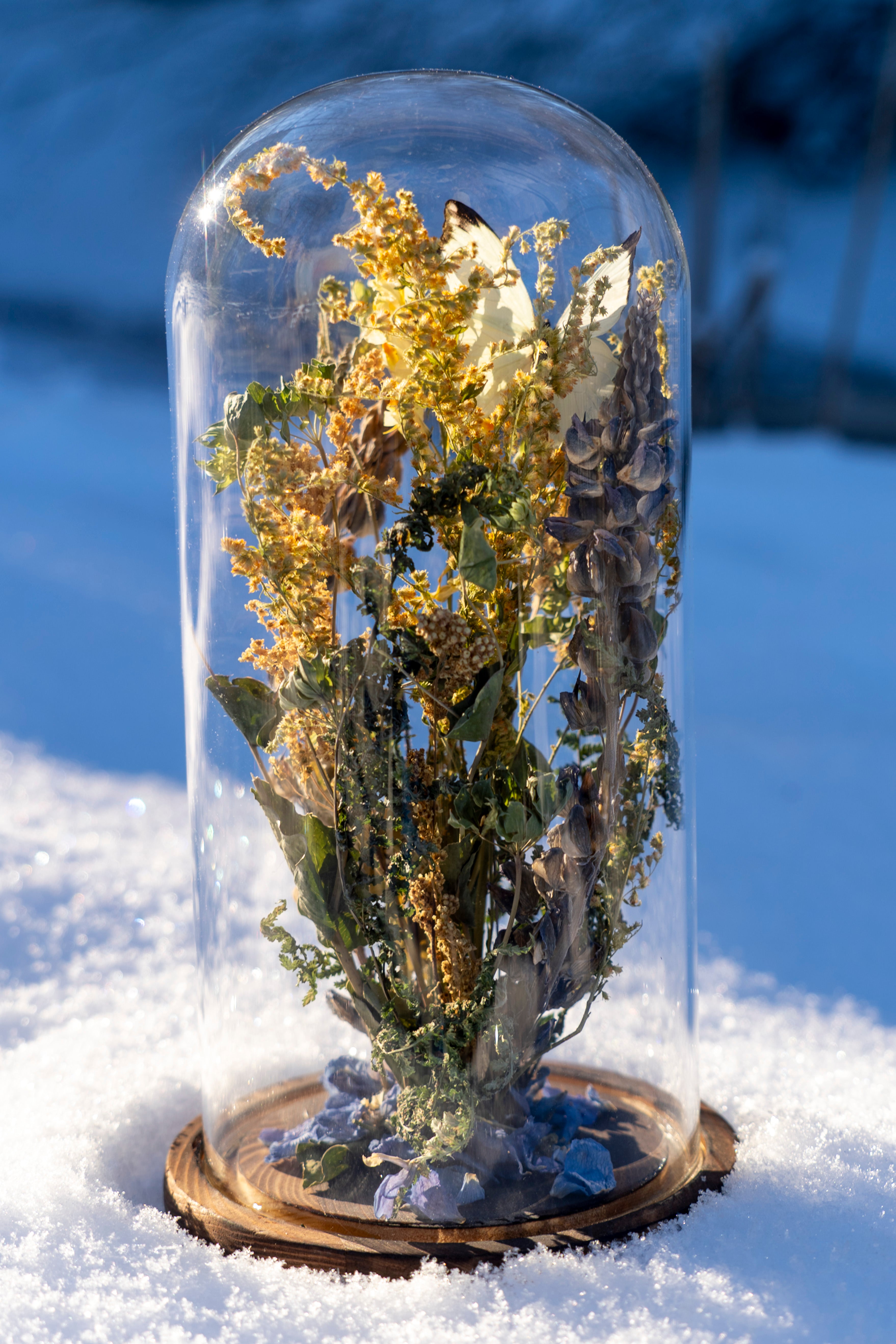 Mini World: Summer Fields