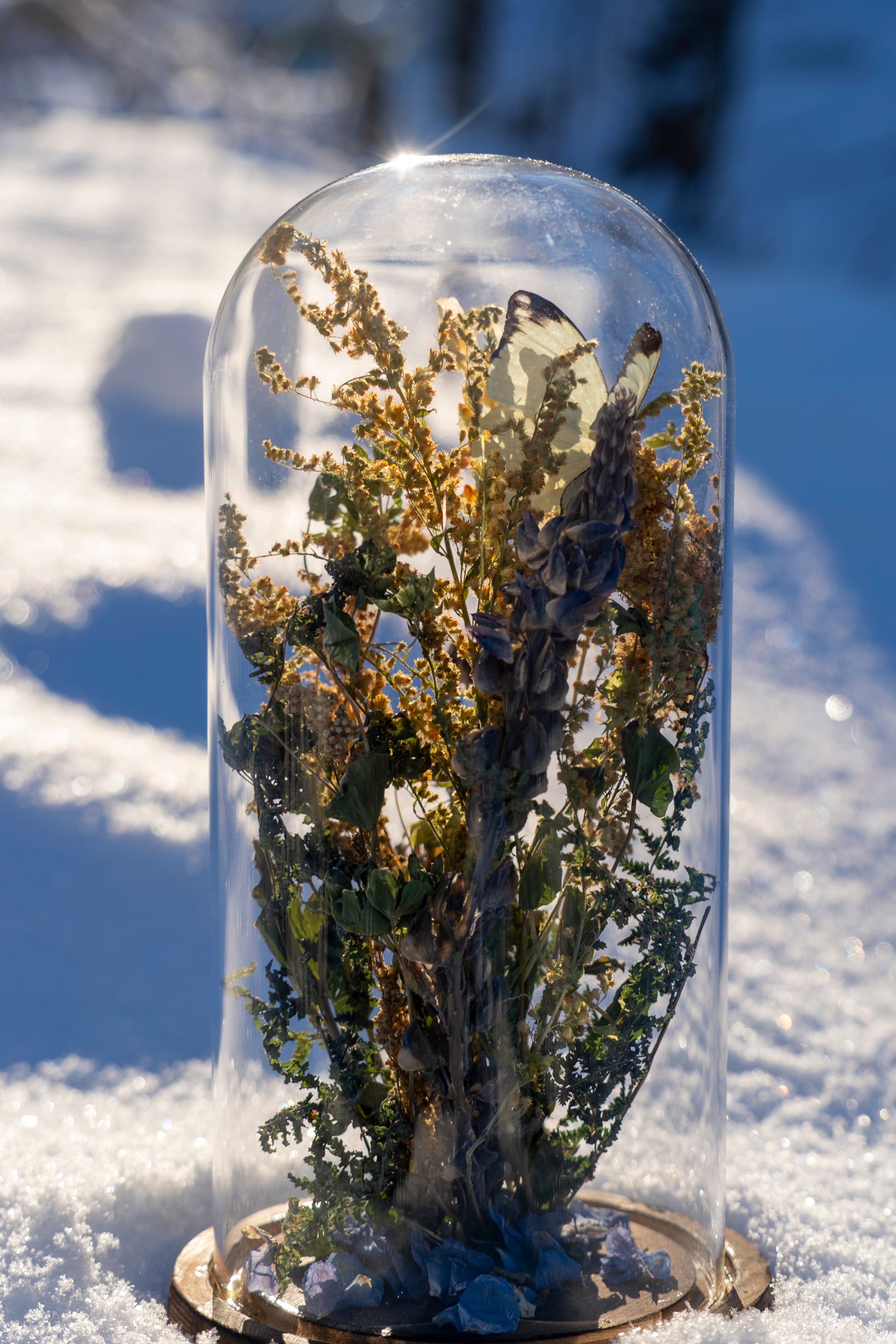 Mini World: Summer Fields