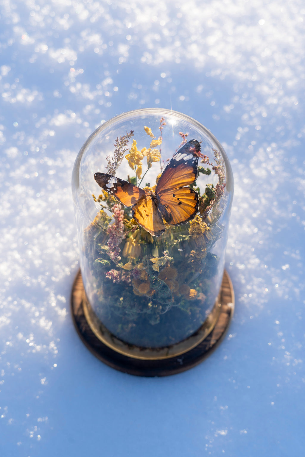 Mini World: Summer