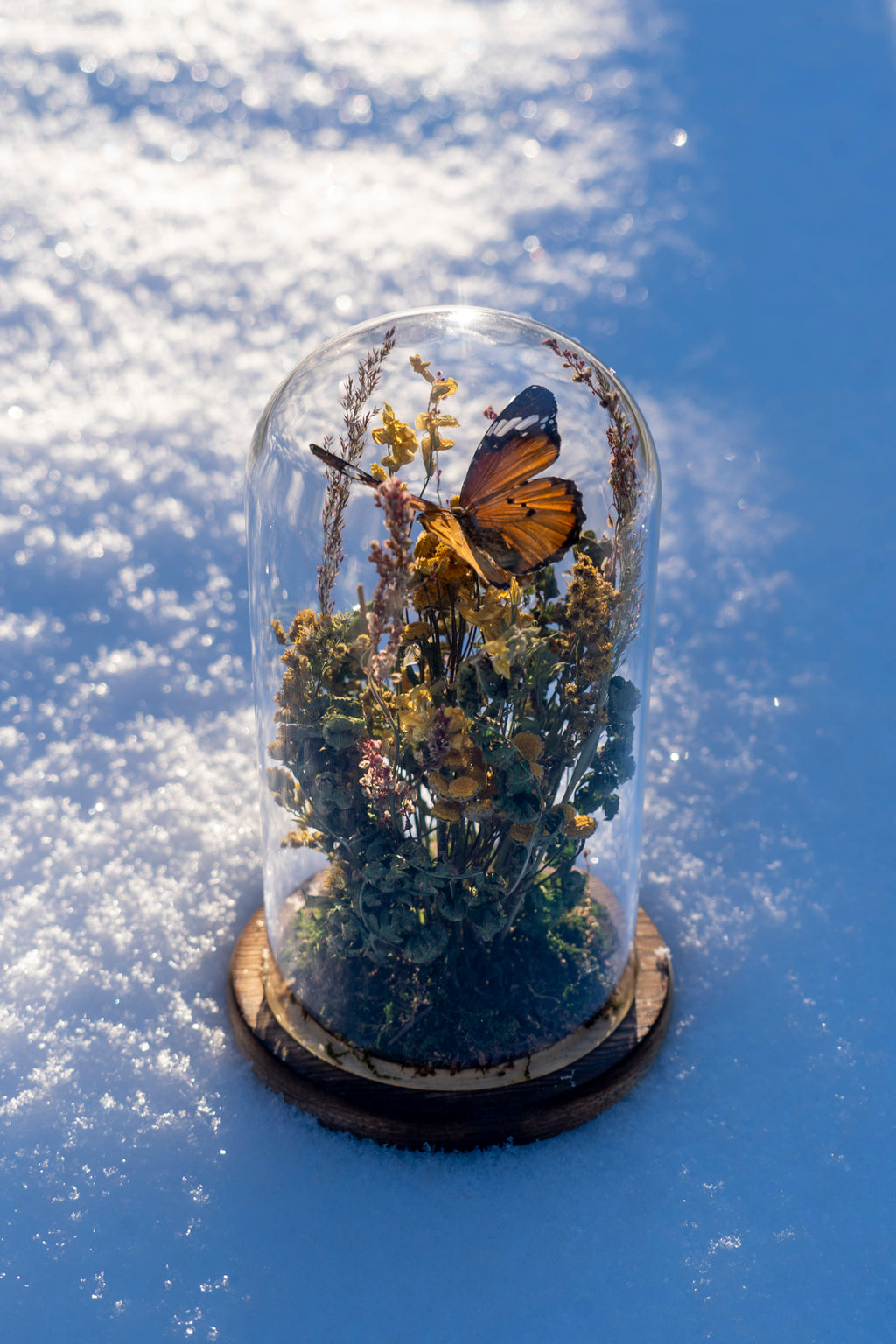 Mini World: Summer