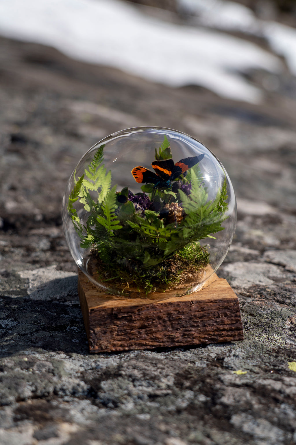 Mini World: Botanisk Omfamning