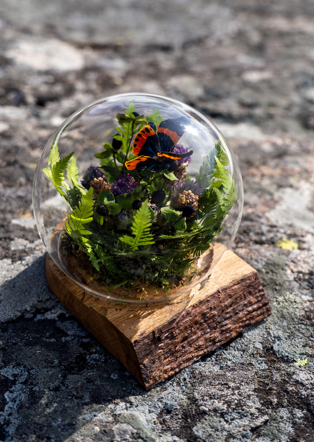 Mini World: Botanisk Omfamning