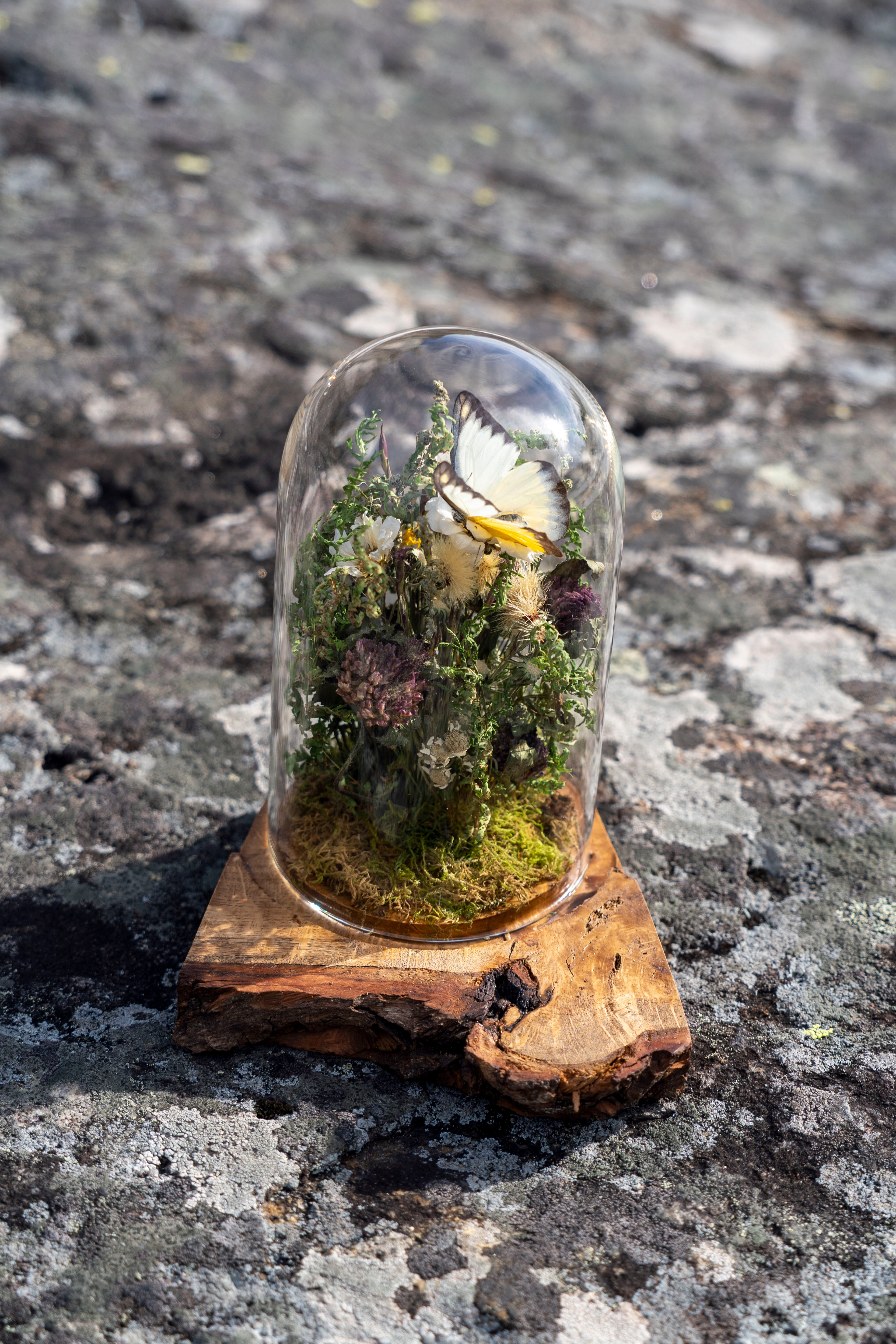 Mini World: Amber Field