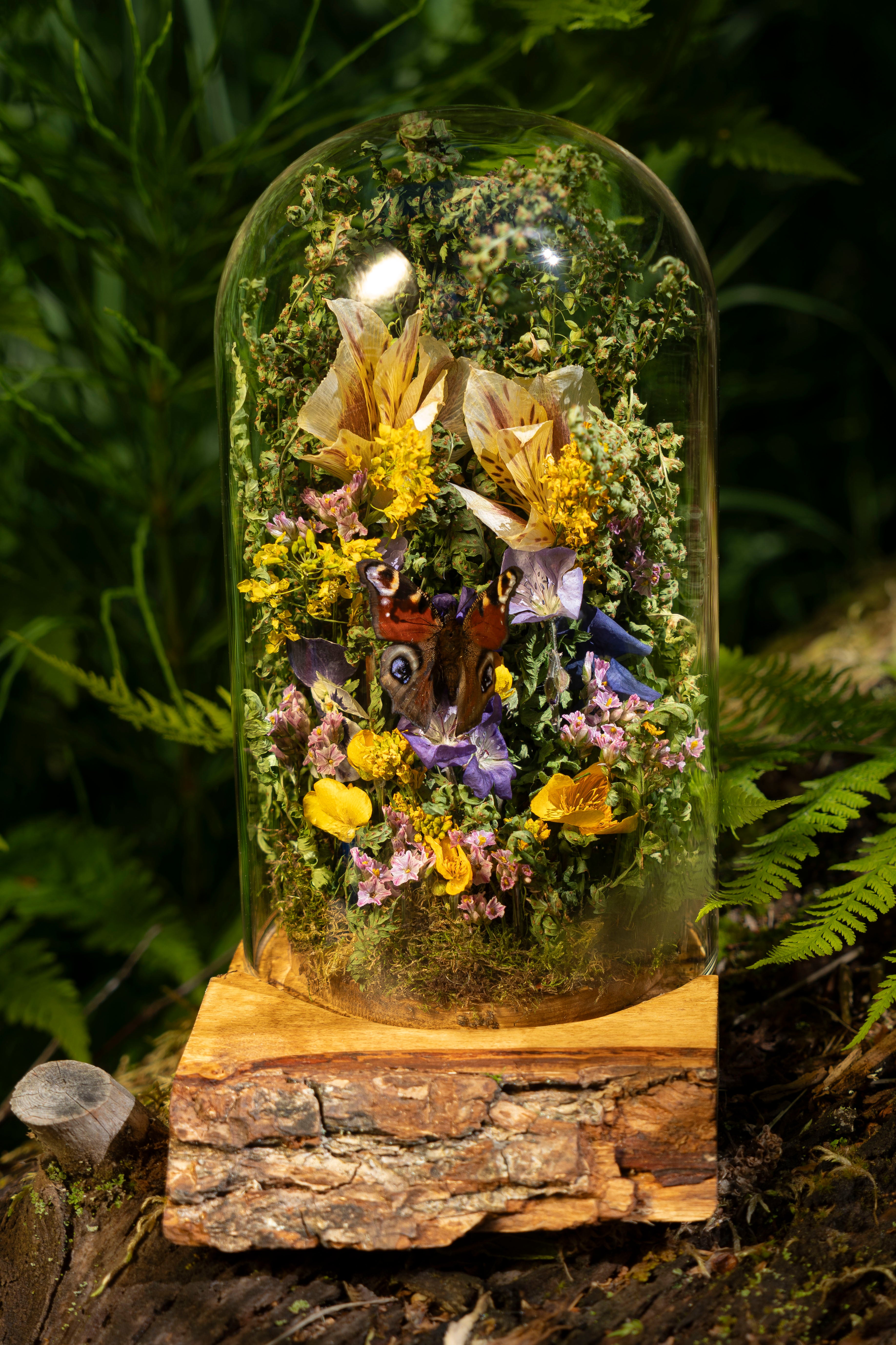 Mini World: Summer Meadow