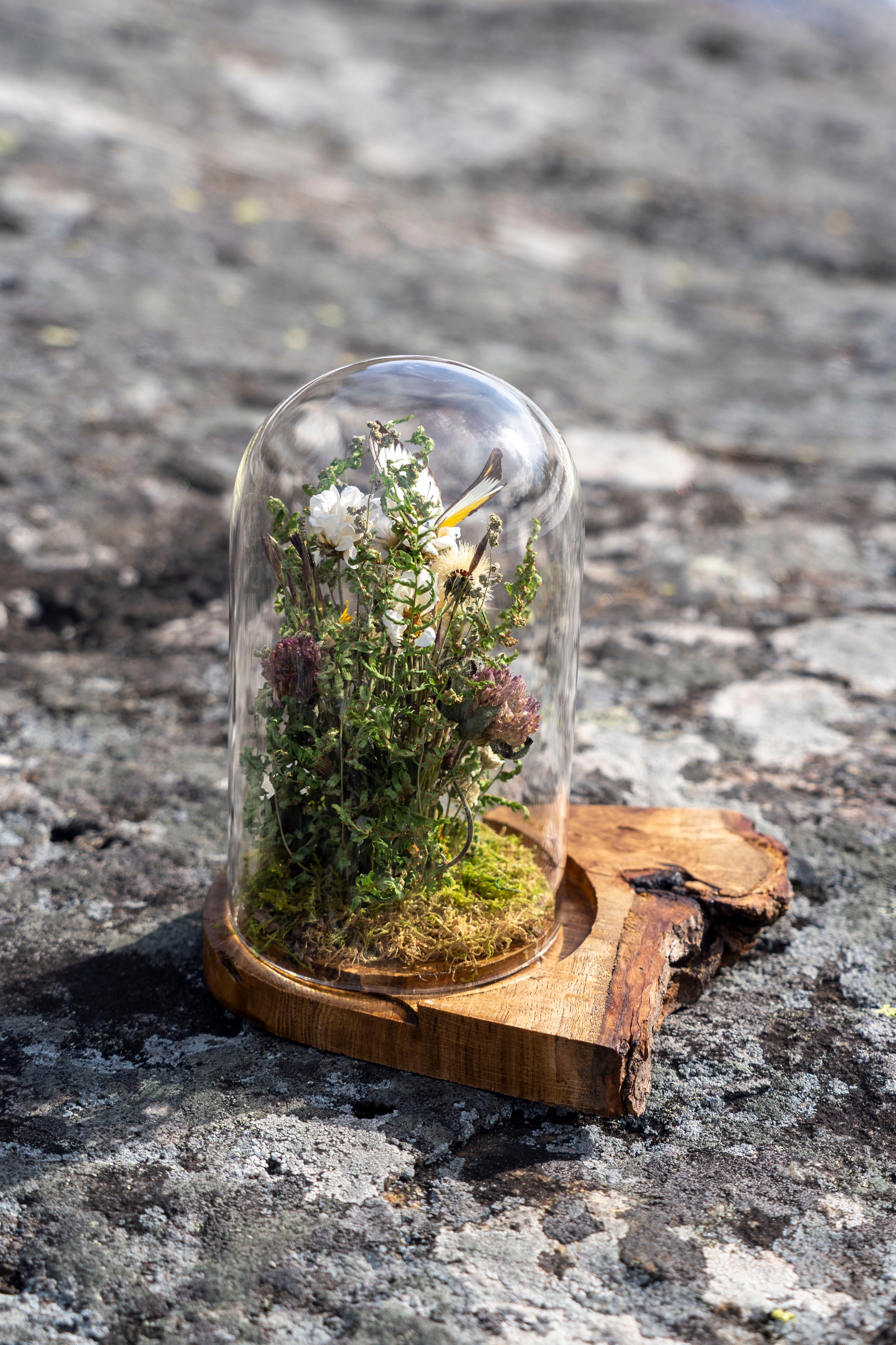 Mini World: Amber Field