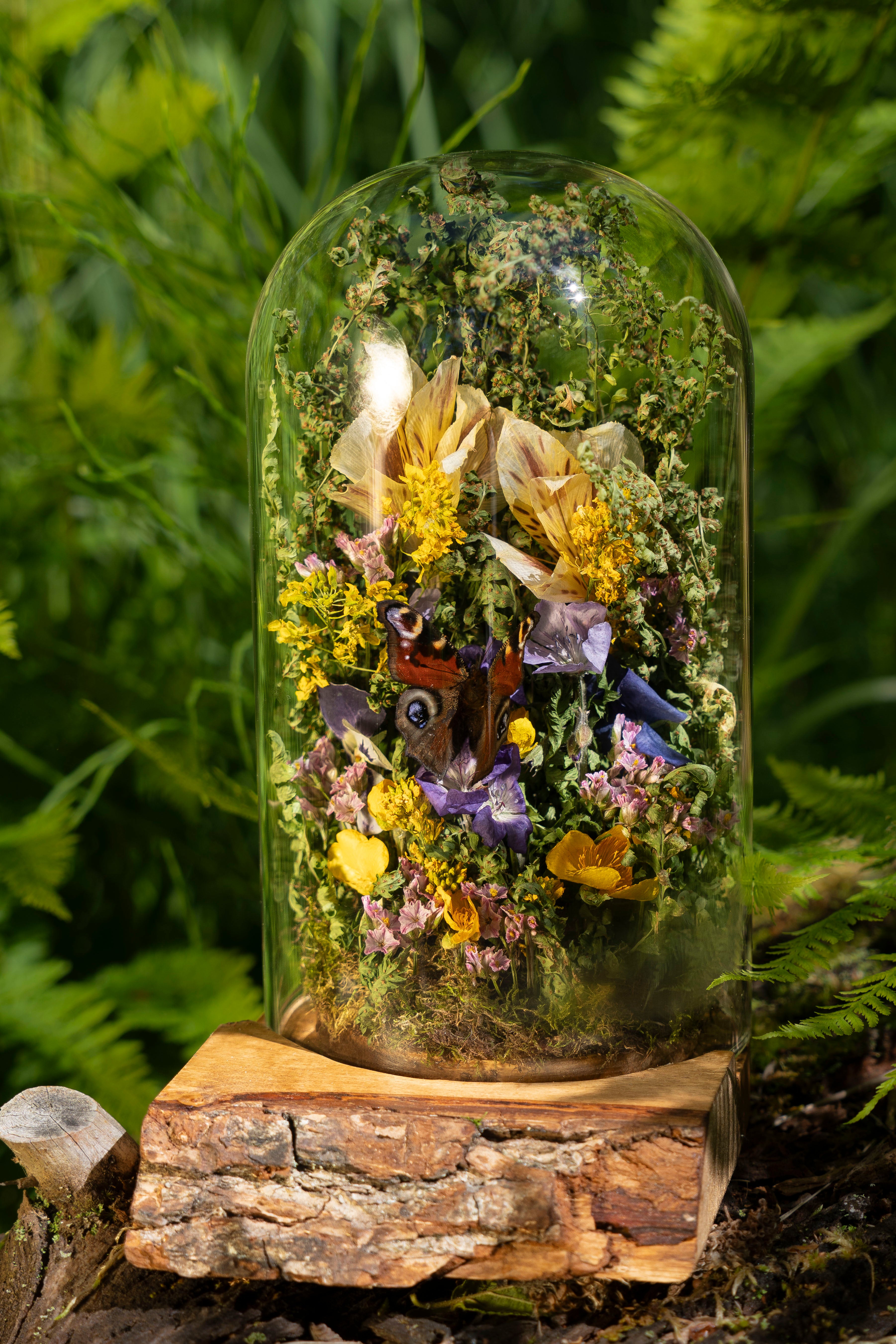 Mini World: Summer Meadow