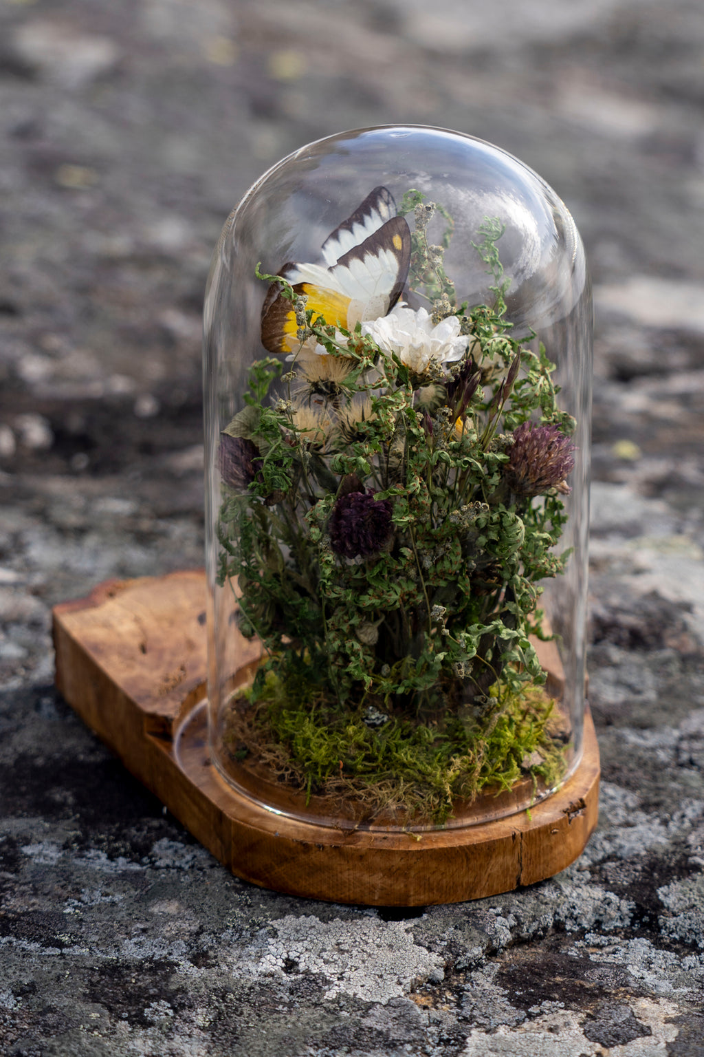 Mini World: Bärnstensfältet