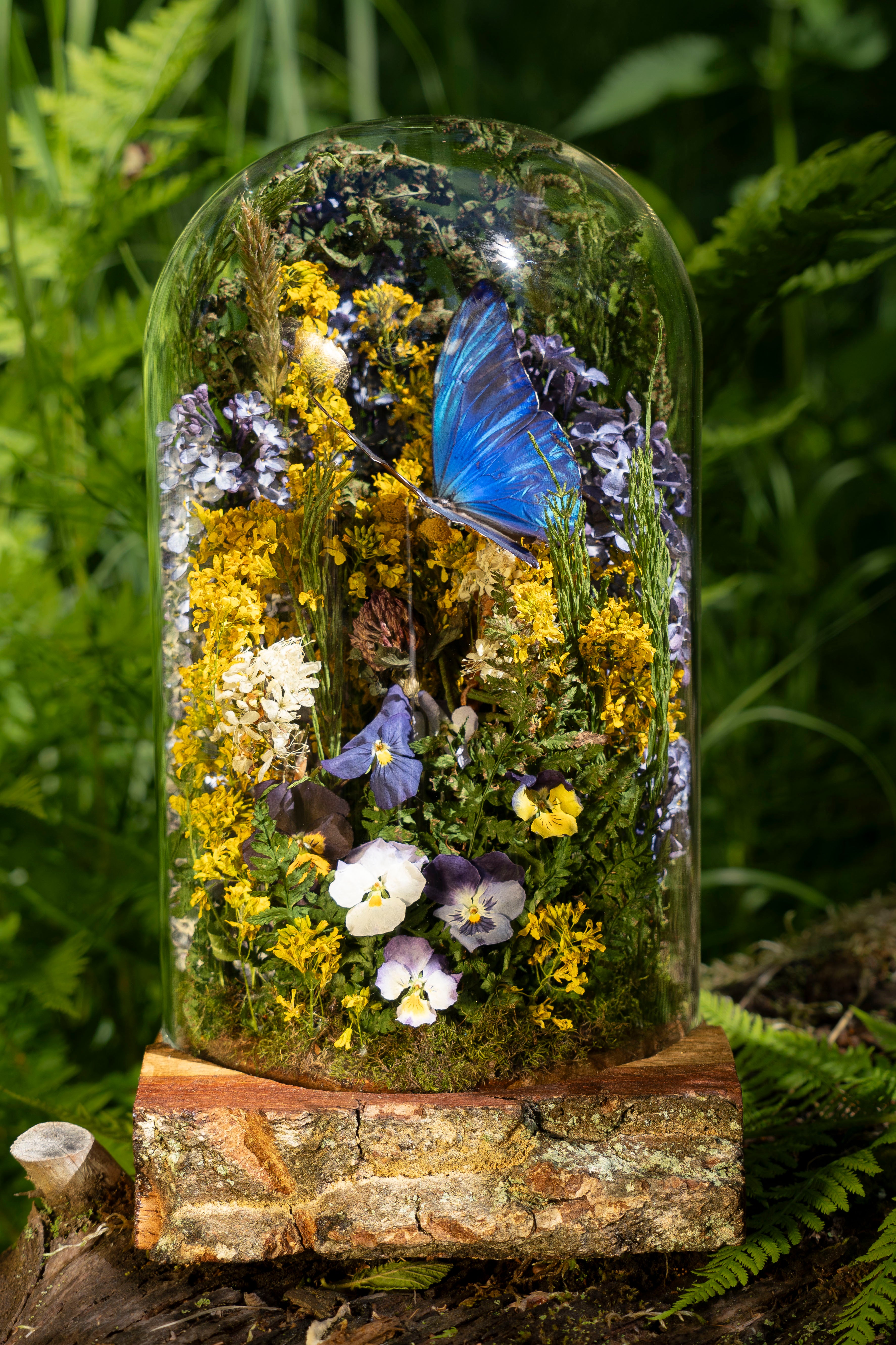 Mini World: Lilacs