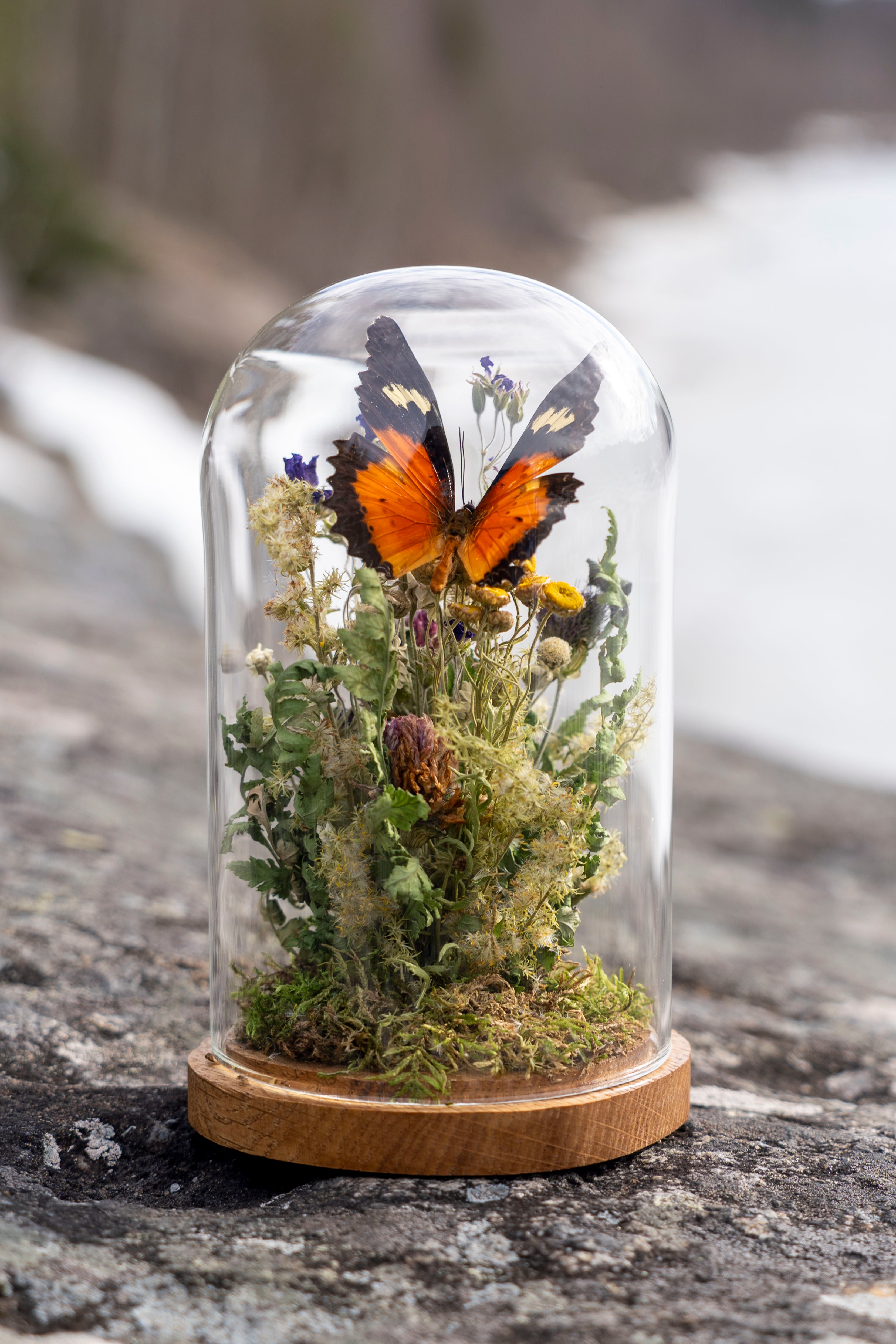 Mini World: Mjuka Blommor