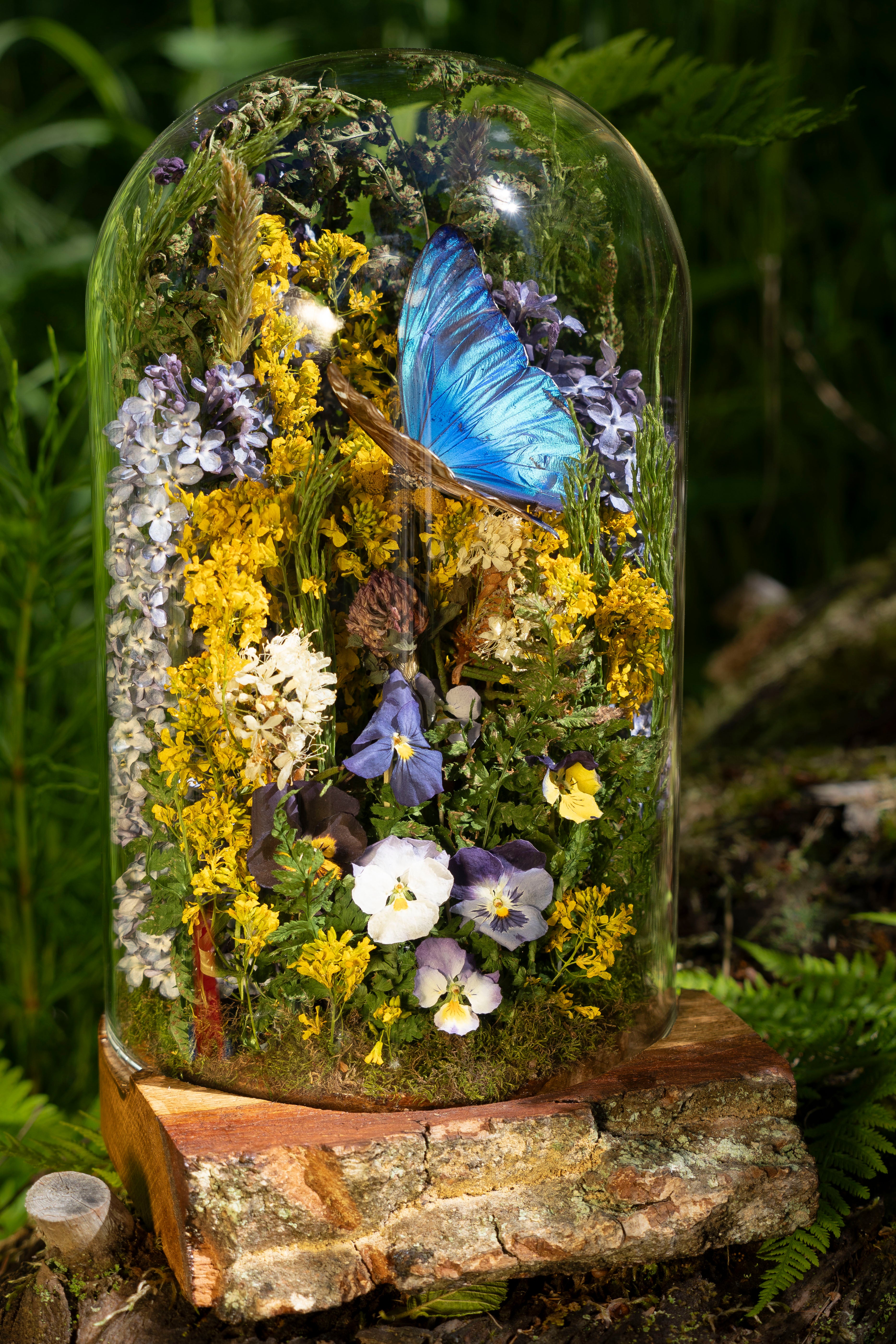 Mini World: Lilacs