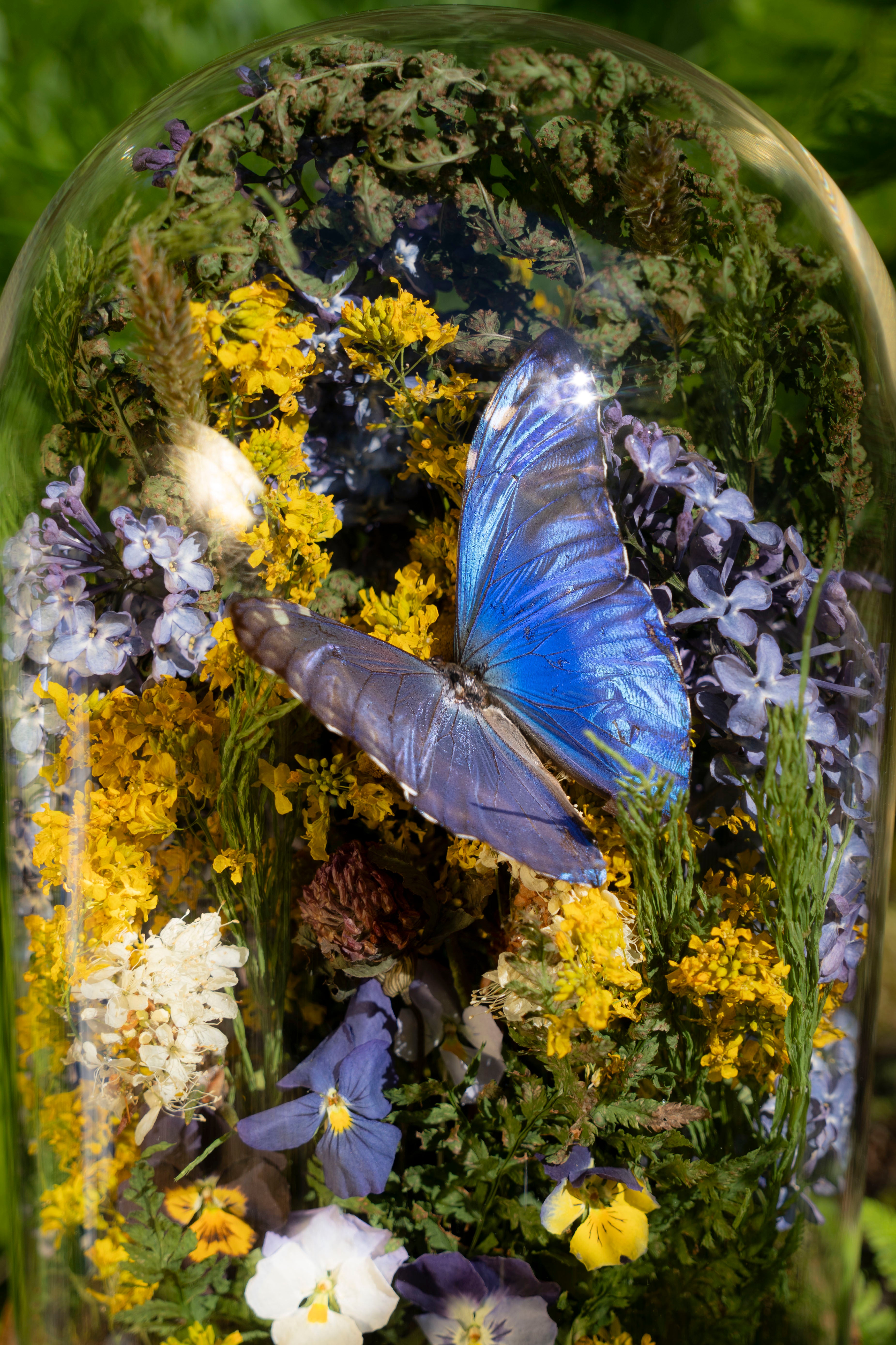 Mini World: Lilacs
