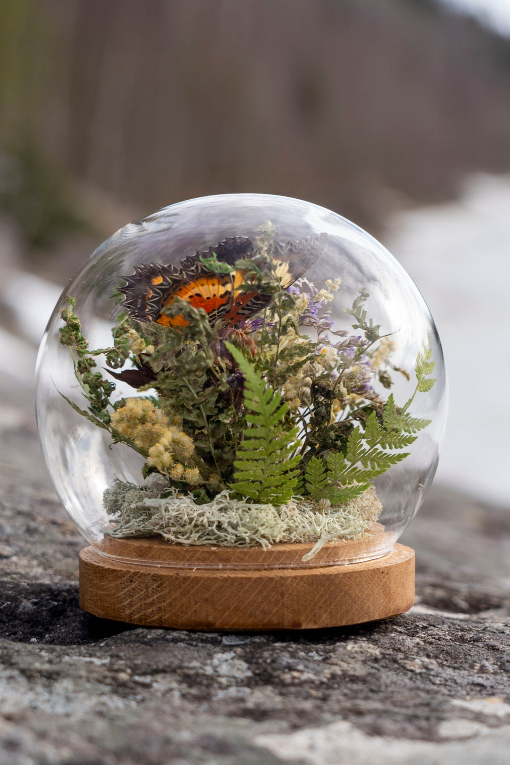Mini World: Äng