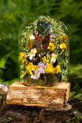 Mini World: Wood Anemone