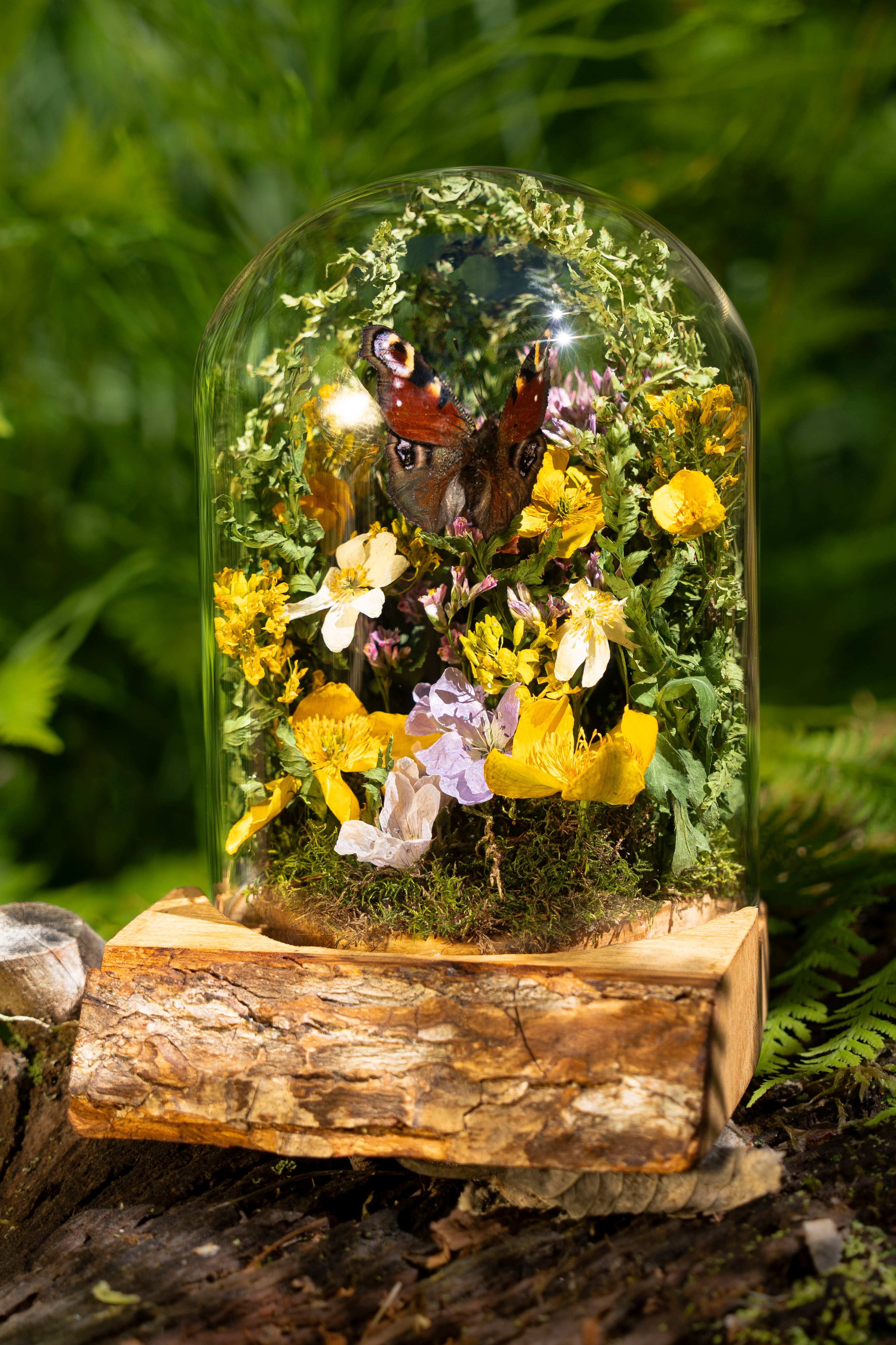 Mini World: Wood Anemone