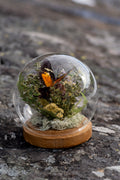 Mini World: Äng